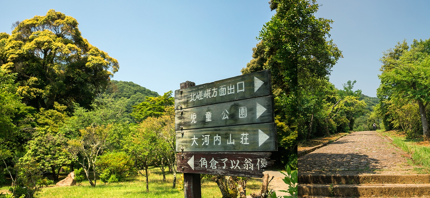 3A9A4187.jpg