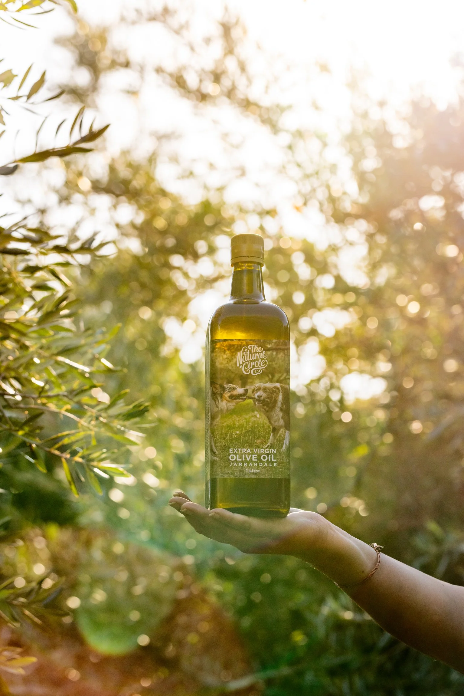 sundae_studio_product_photography_62_olive oil.jpg