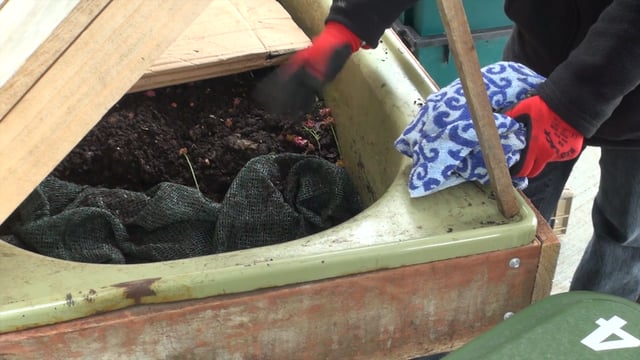 COMPOST COLLECTIVE INTRO