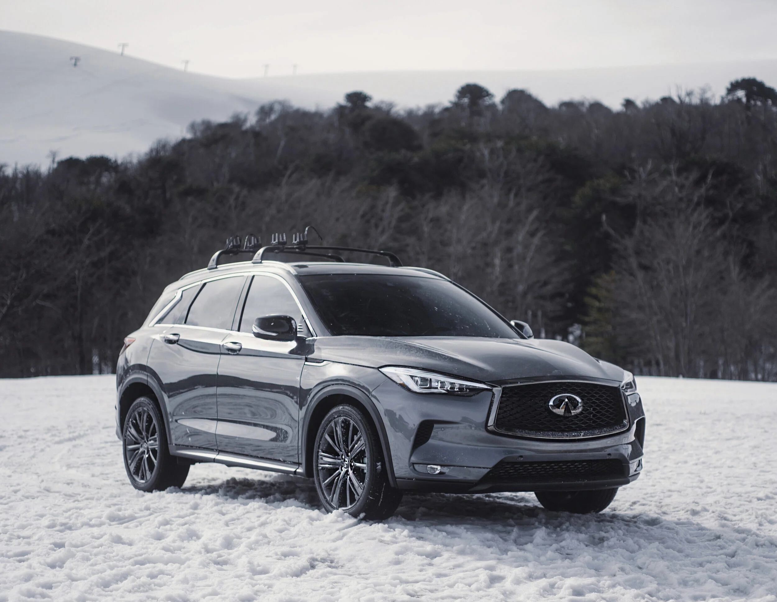 IMGP5256-02a_cL_R1+cropped .jpg