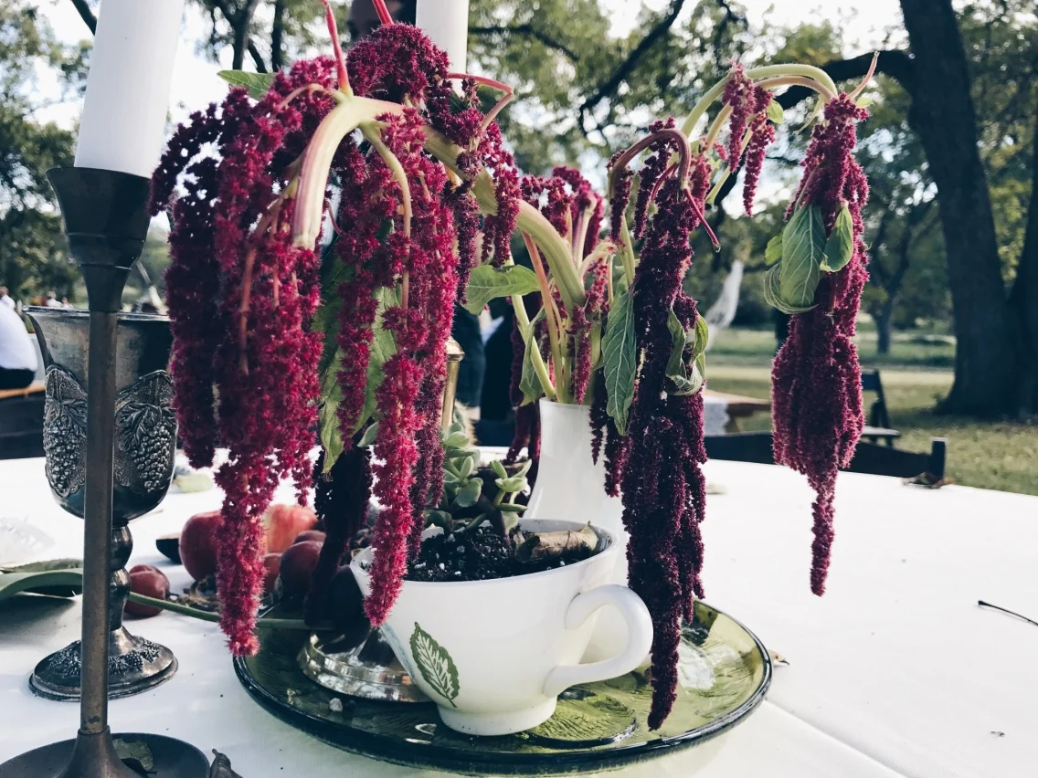vsco_100216.jpg