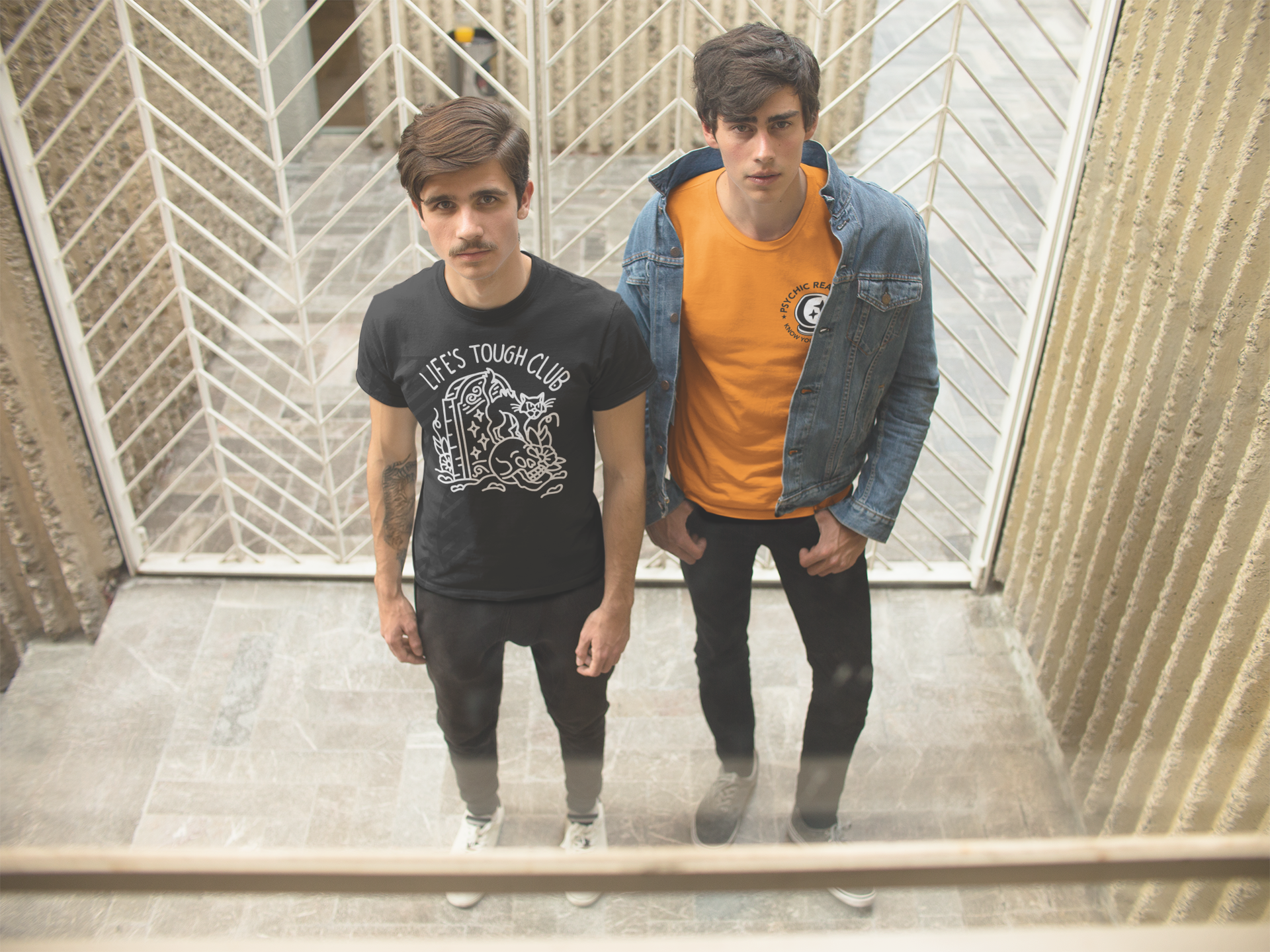 two models.png