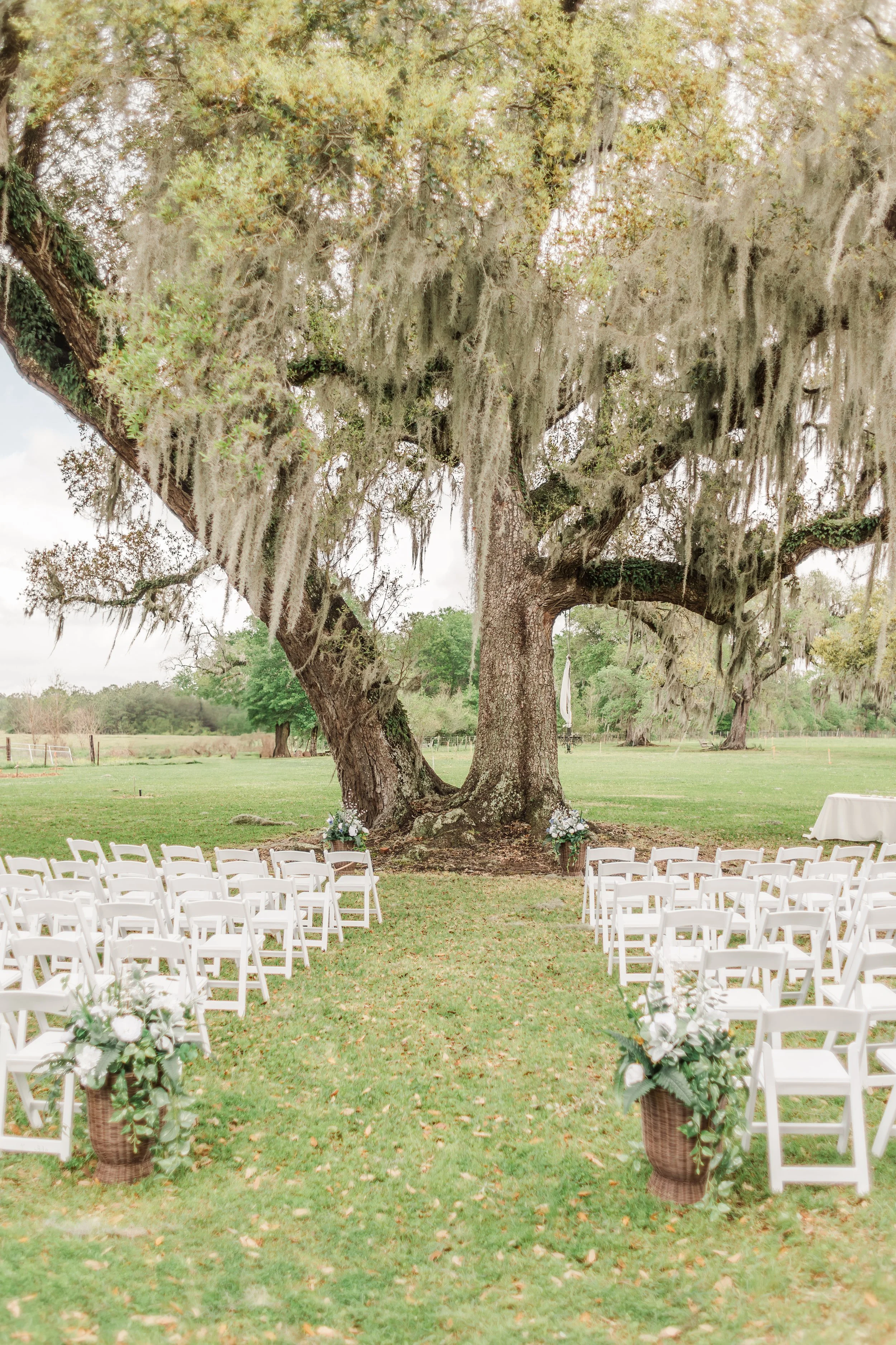 Mr&MrsCloud-131.jpg