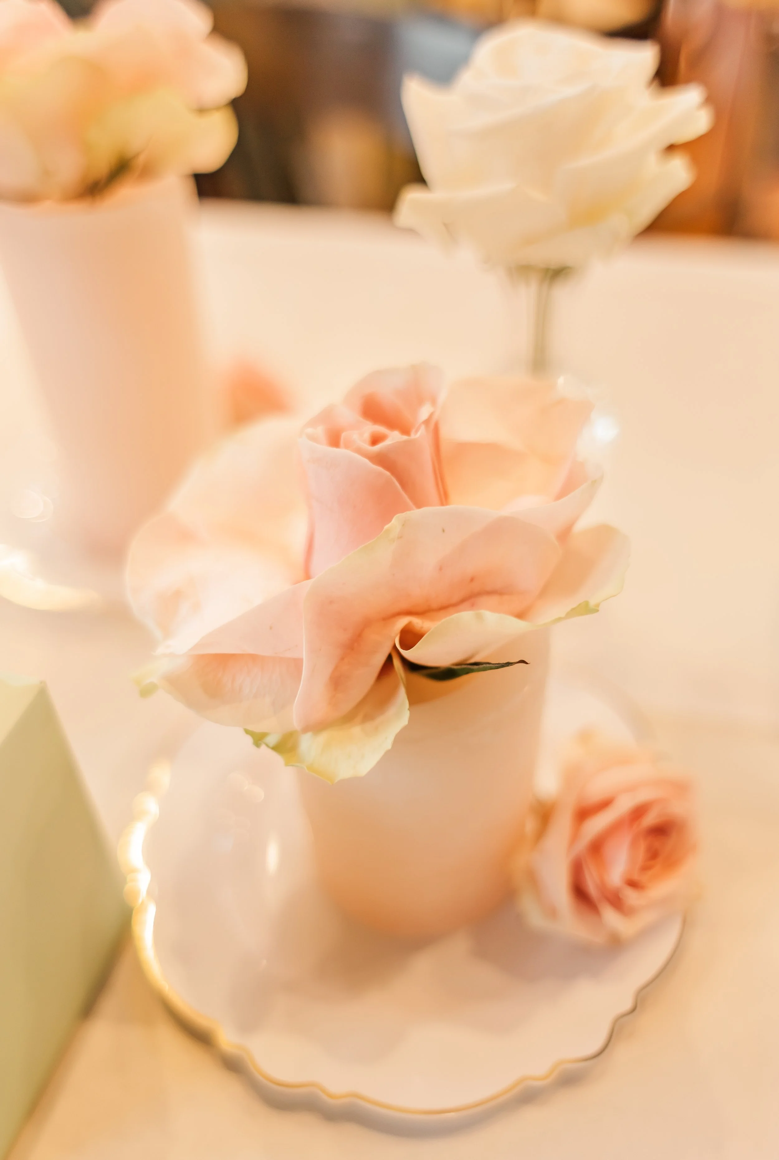 ColemanWedding609.jpg
