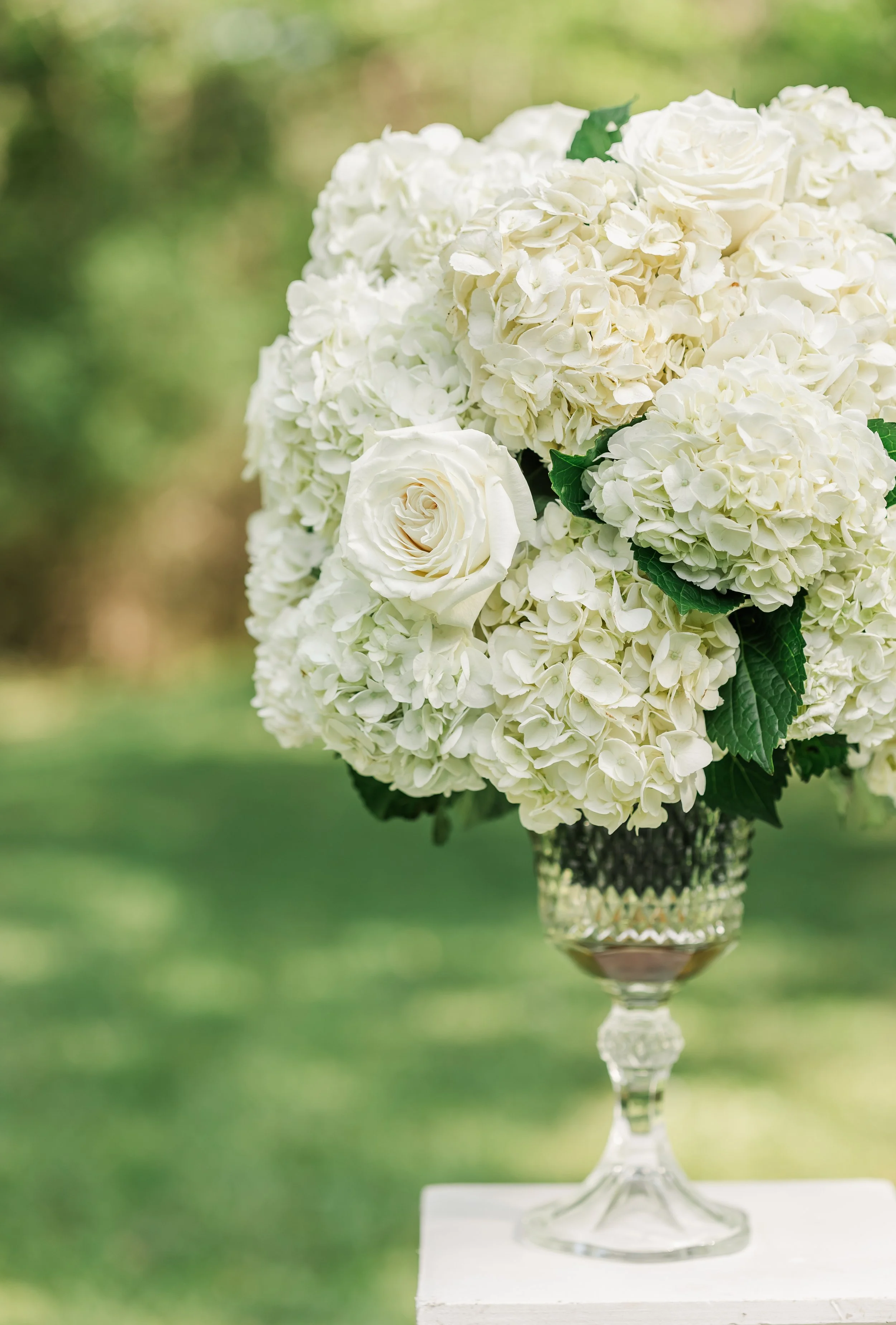 OrtegoWedding-1.jpg