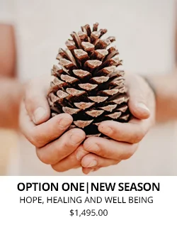 OPTION ONE | PAD | JAN: NEW SEASON | HOPE, HEALING AND WELL BEING