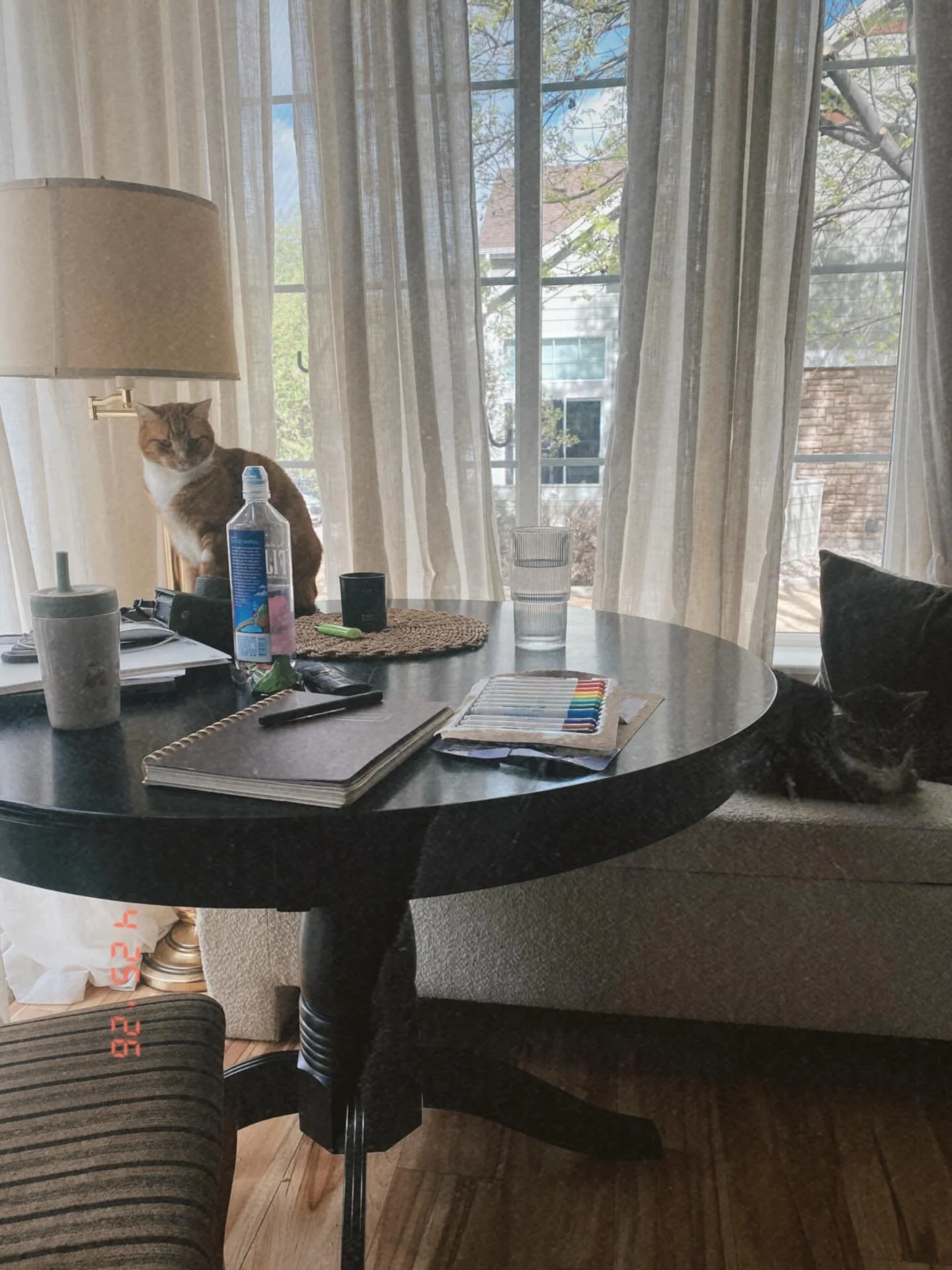 loves an in home kitchen table whiteboard session.

launch strategies can still be strategized with Harry Potter screen time to keep the toddler chief cuteness officer entertained until the strategy is ready for its full reveal. 

not every meeting n