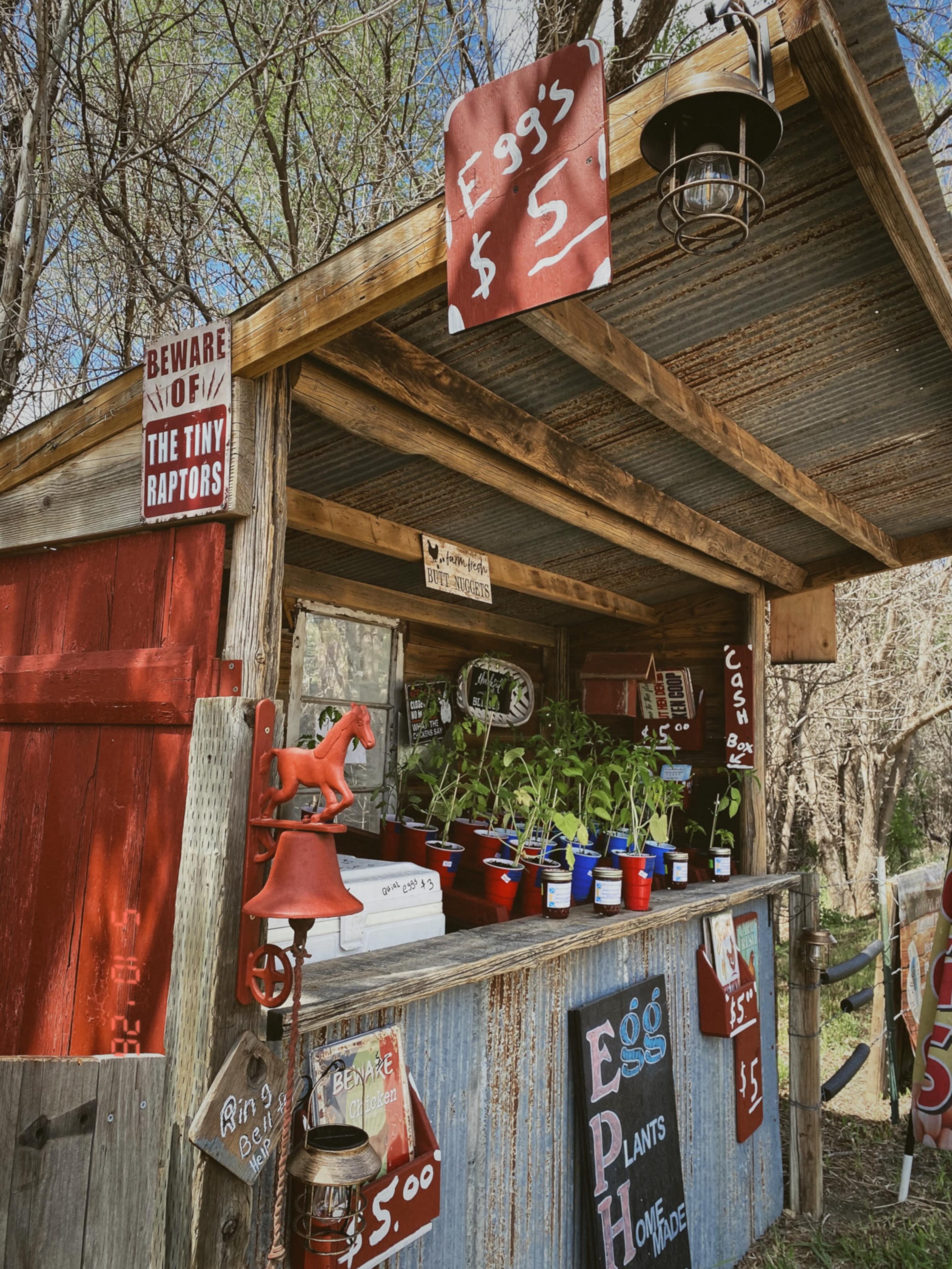 loves the scenic route. 

there&rsquo;s something about driving the backroads and stopping at a roadside farm stand that feels like time traveling to a simpler time. 

soul nourishing almost. 

picked up a pumpkin plant and a jar of homemade strawber