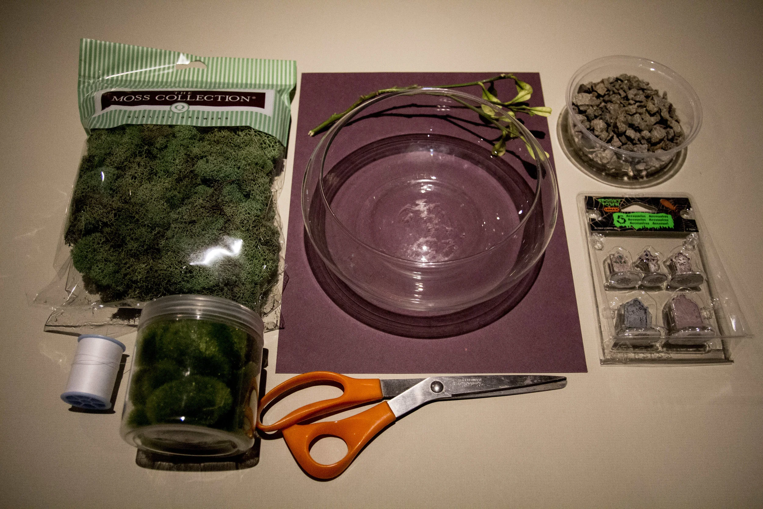 _MG_8310.jpg
