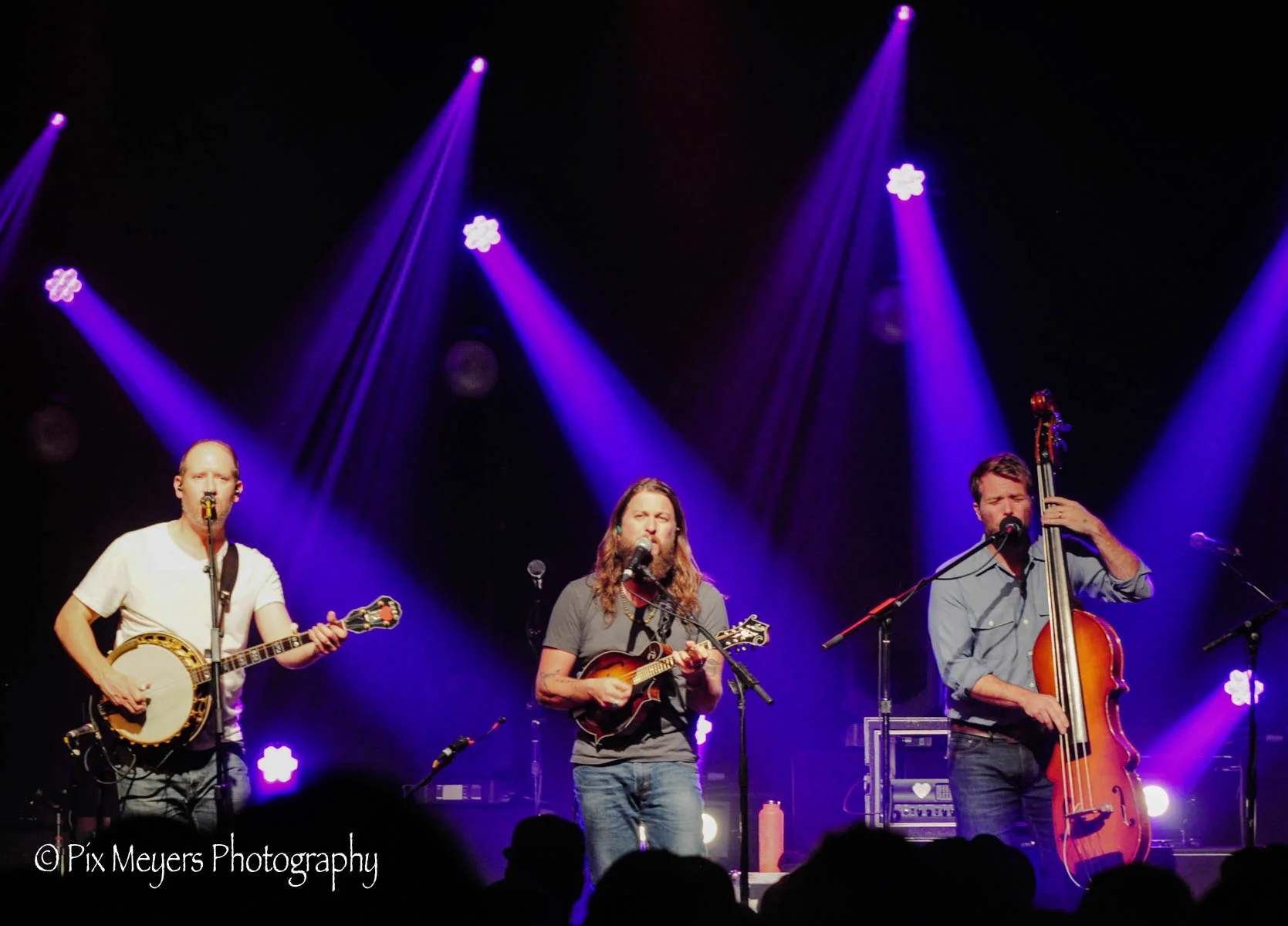 All photos by Dawne Meyers&nbsp;