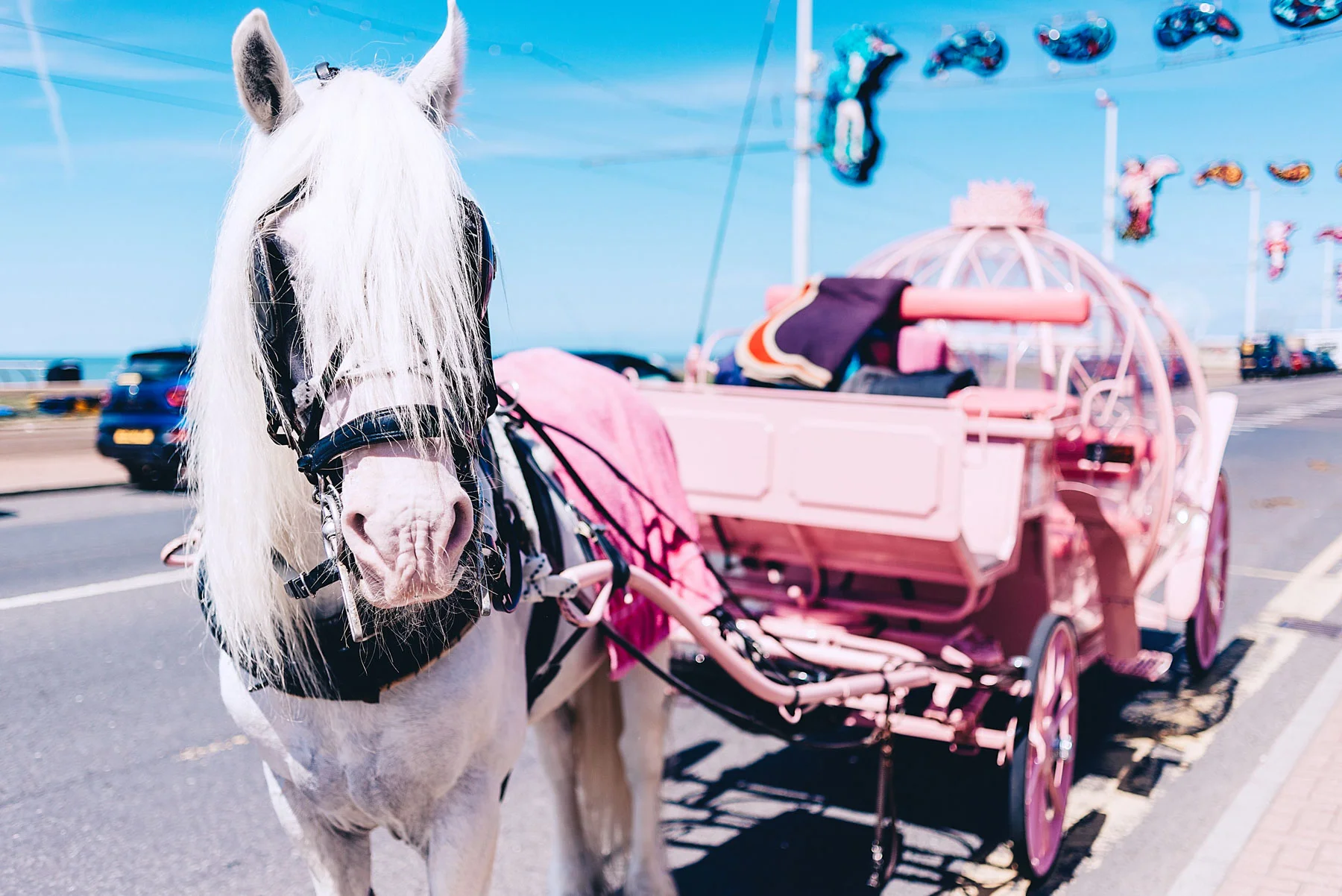 Horse and cart waiting for wedding party