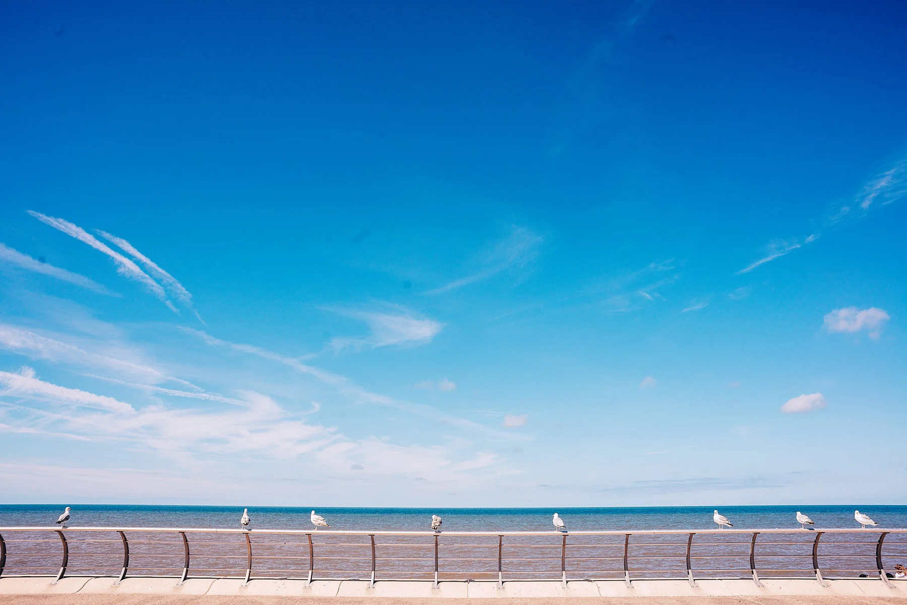 Birds wait in the sun in Blackpool sea front