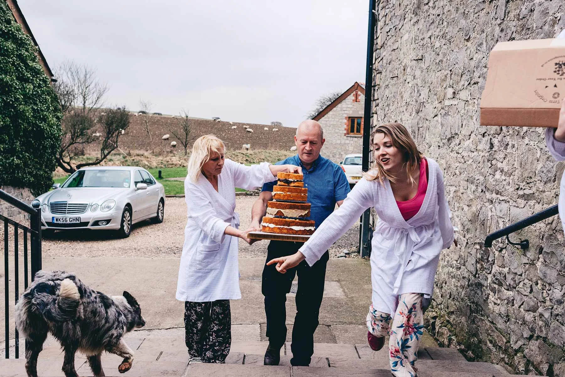 Dog tries to get to the wedding cake