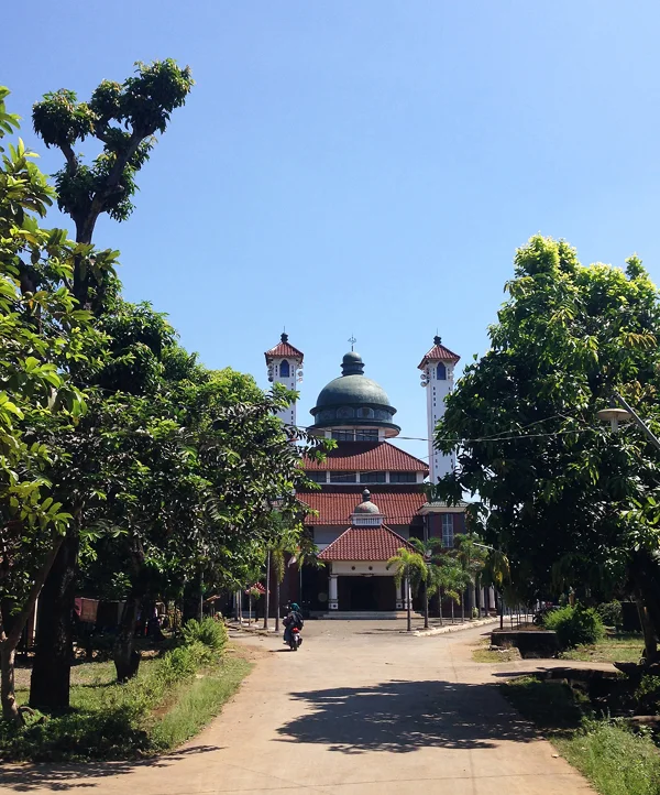Ikat in North Java | Raya Exchange
