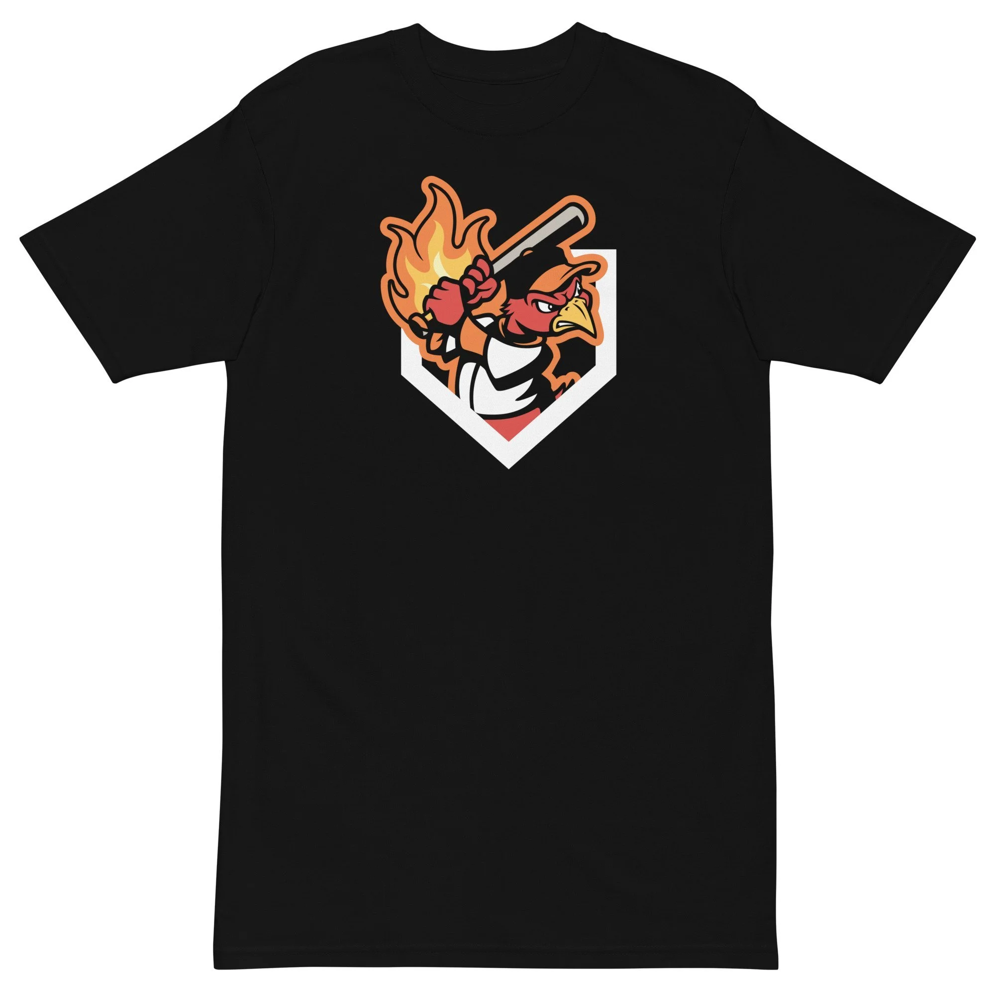 mens-premium-heavyweight-tee-black-front-62ce8ff23c95f.jpeg