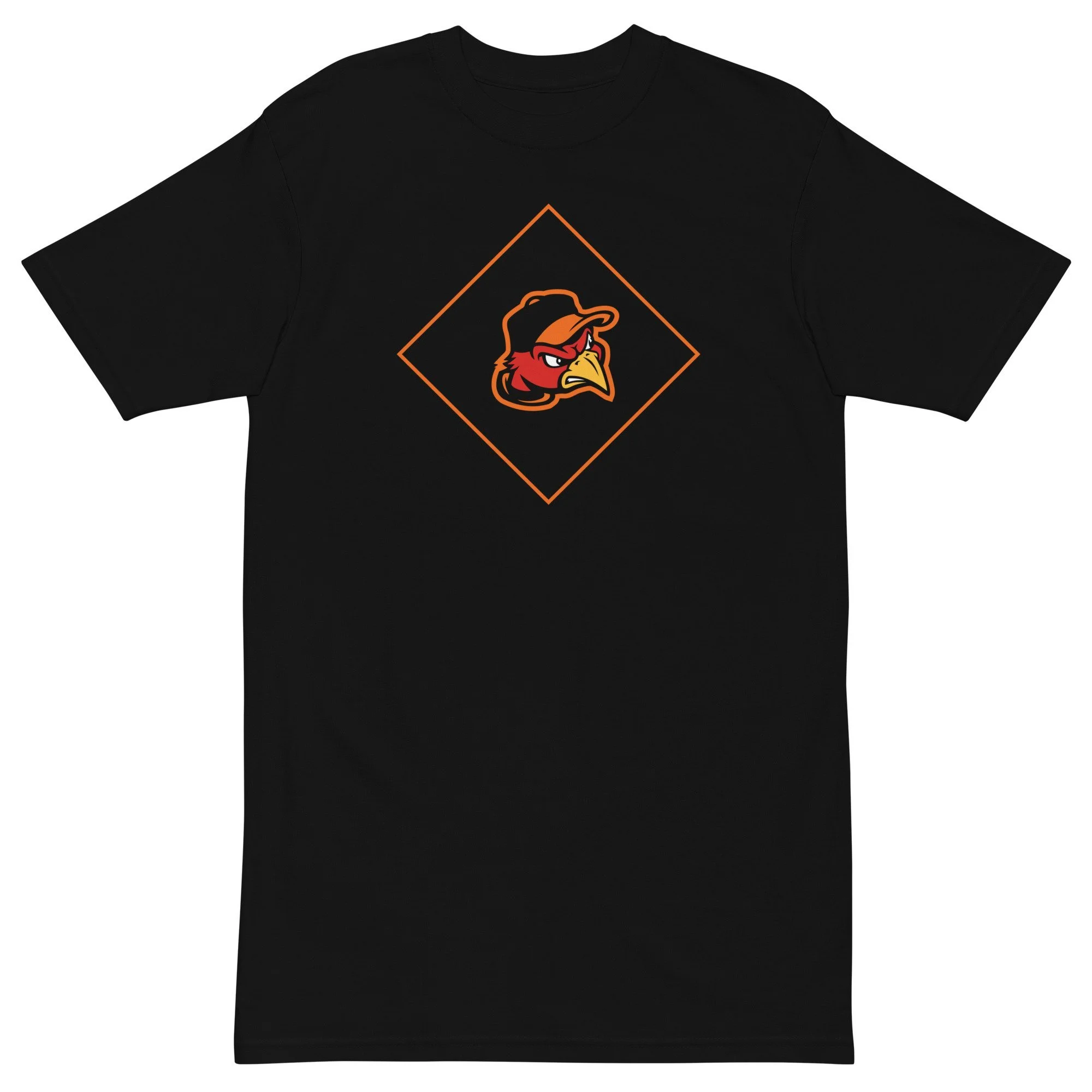 mens-premium-heavyweight-tee-black-front-62ce8fa1e35c3.jpeg