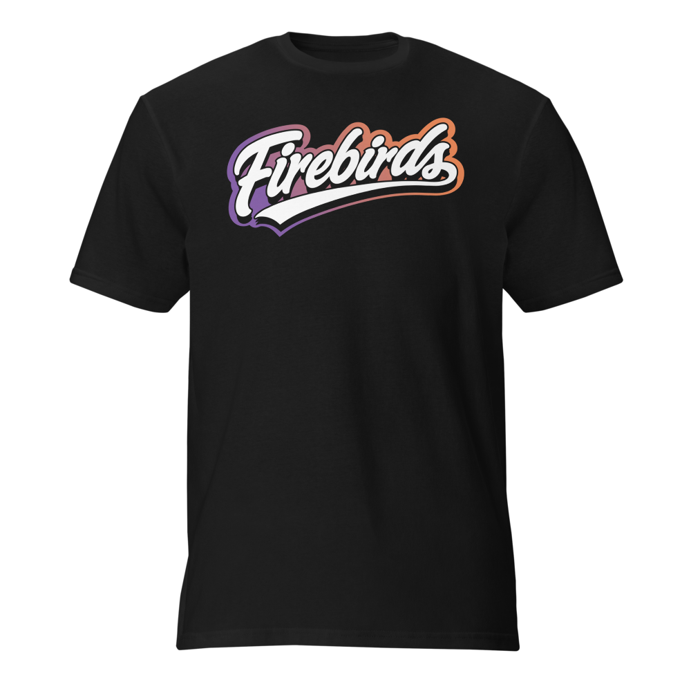unisex-lightweight-t-shirt-black-front-6a6088a82113c.png