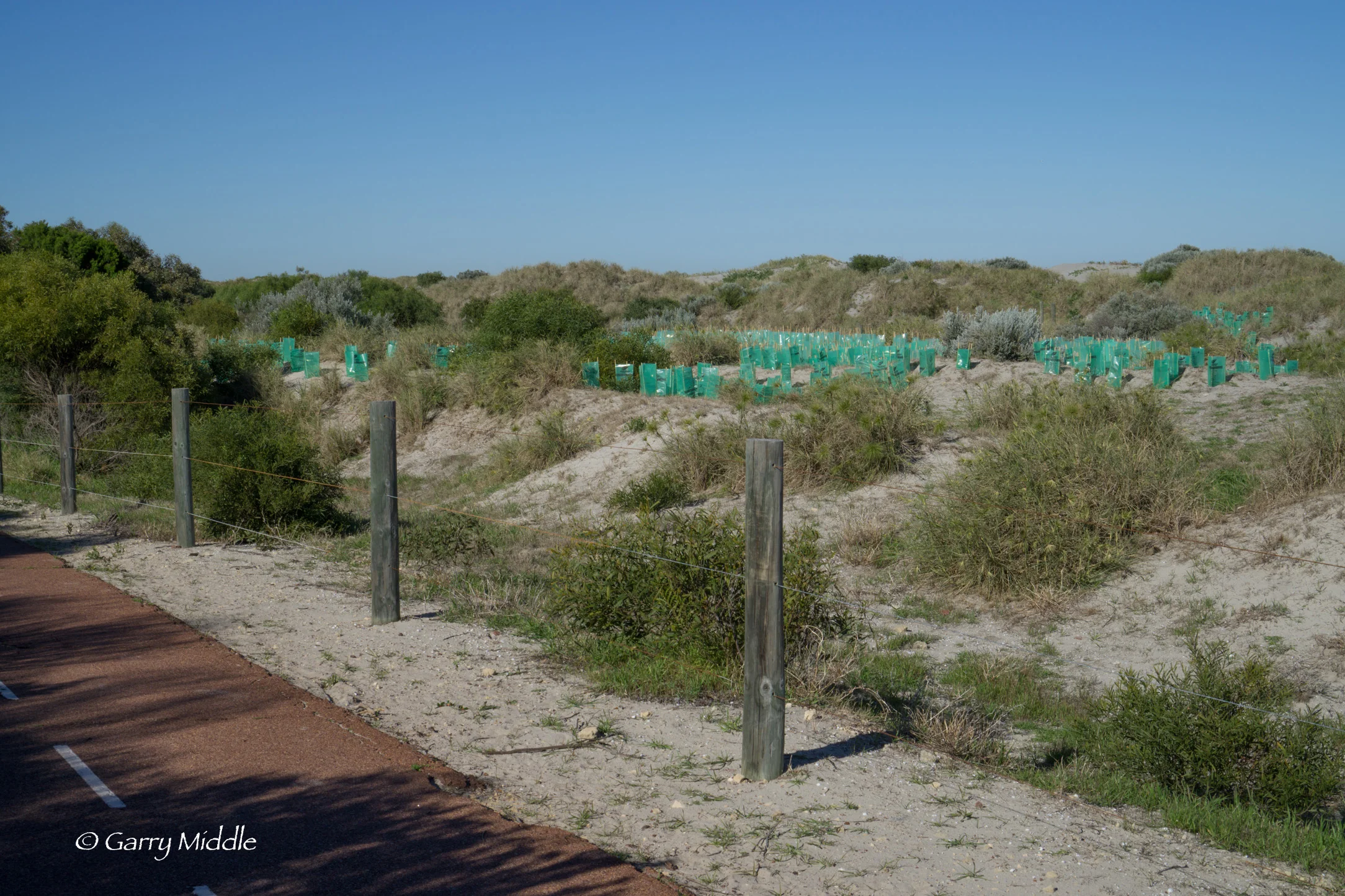 Plate 6: Path set well back from the beach – O’Connor Beach