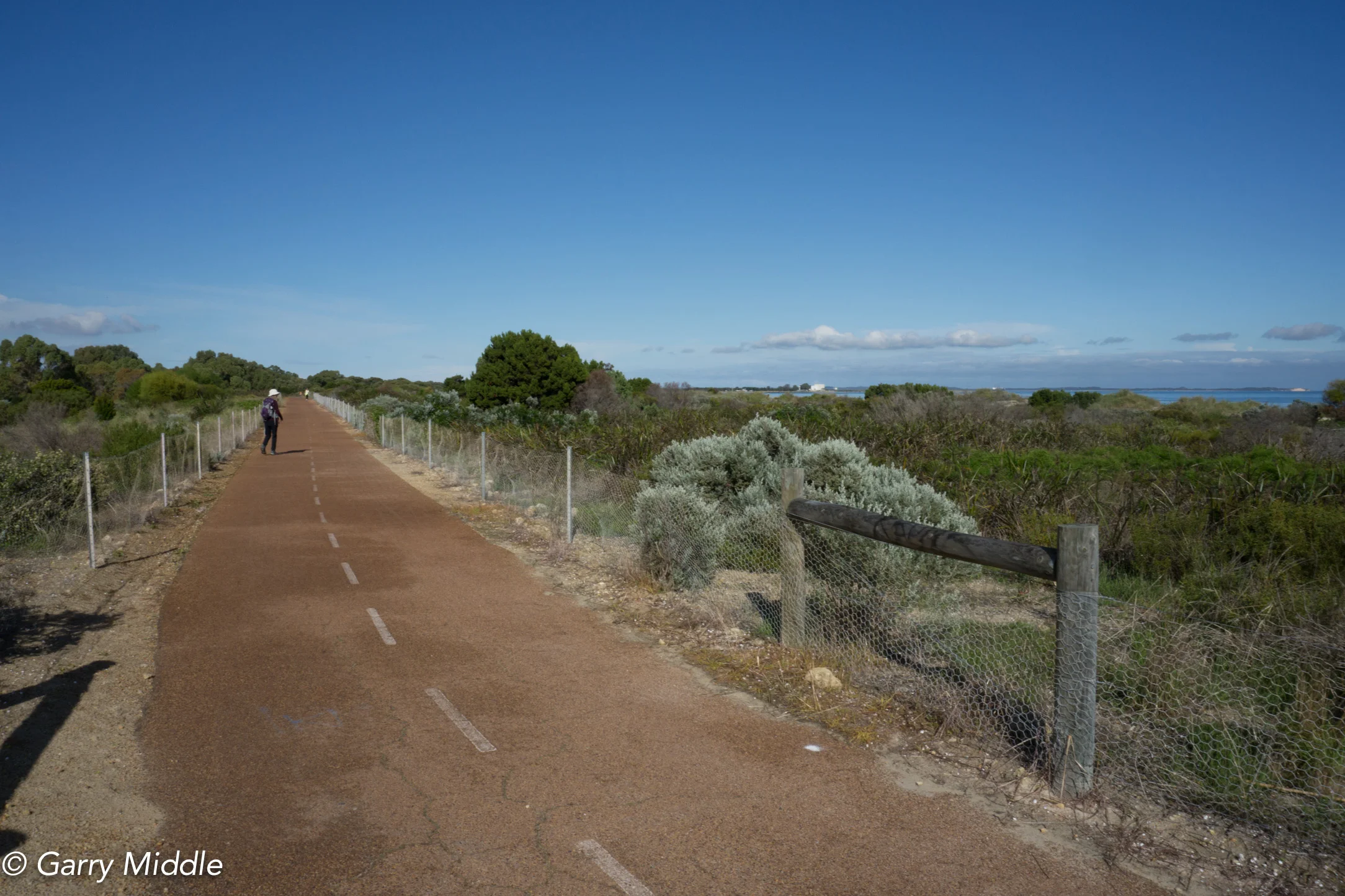 Plate 7: Path through low coastal scrub