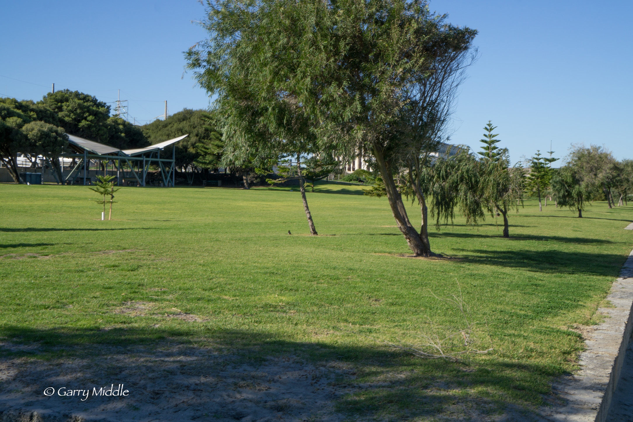 Plate 15: C Y O’Connor Park