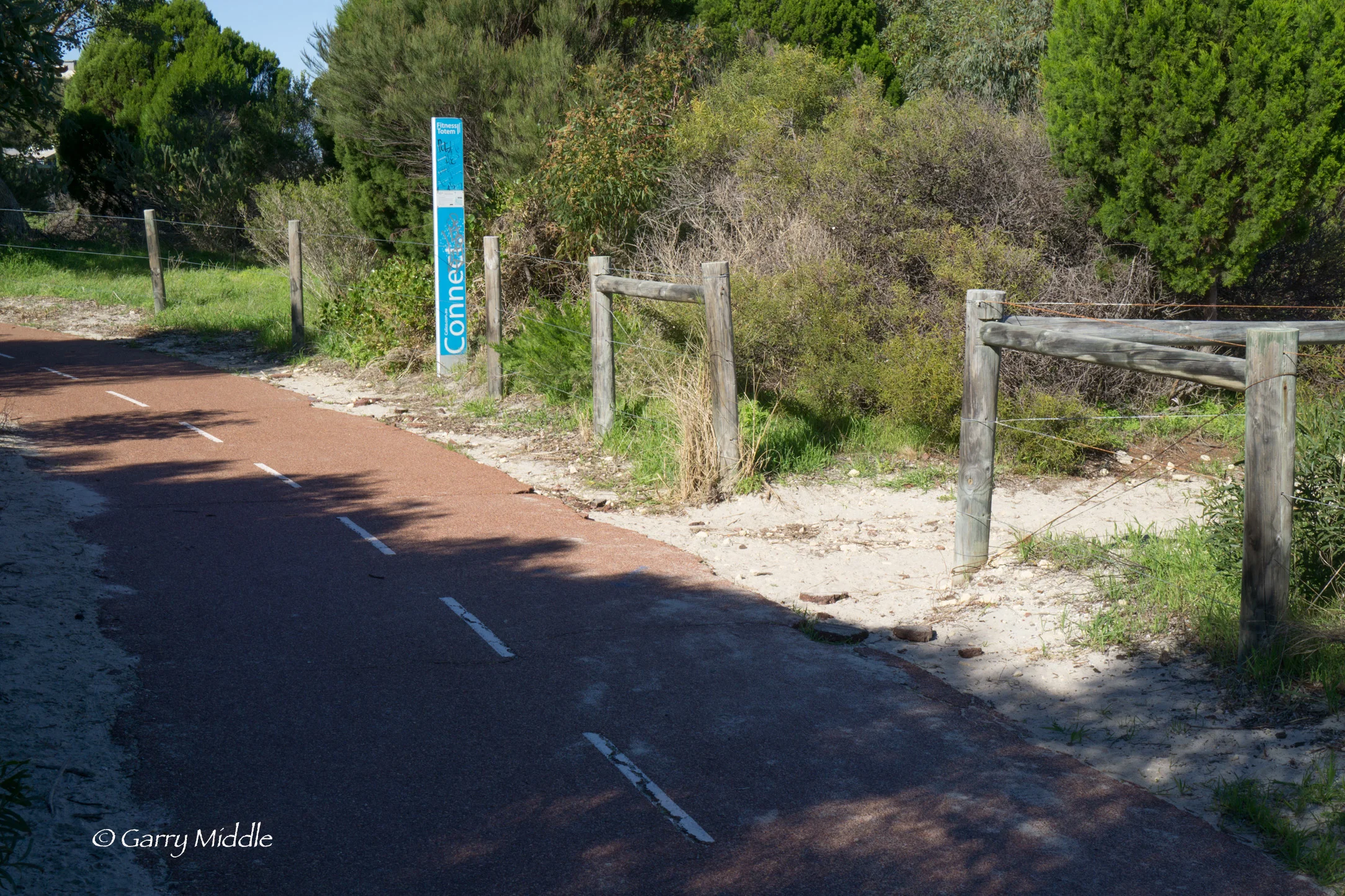 Plate 16: Sandy track that goes around C Y O’Connor Park