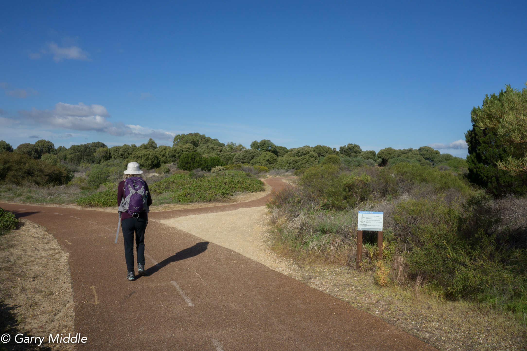 Plate 12: Narrow path between John Graham Reserve and the coast