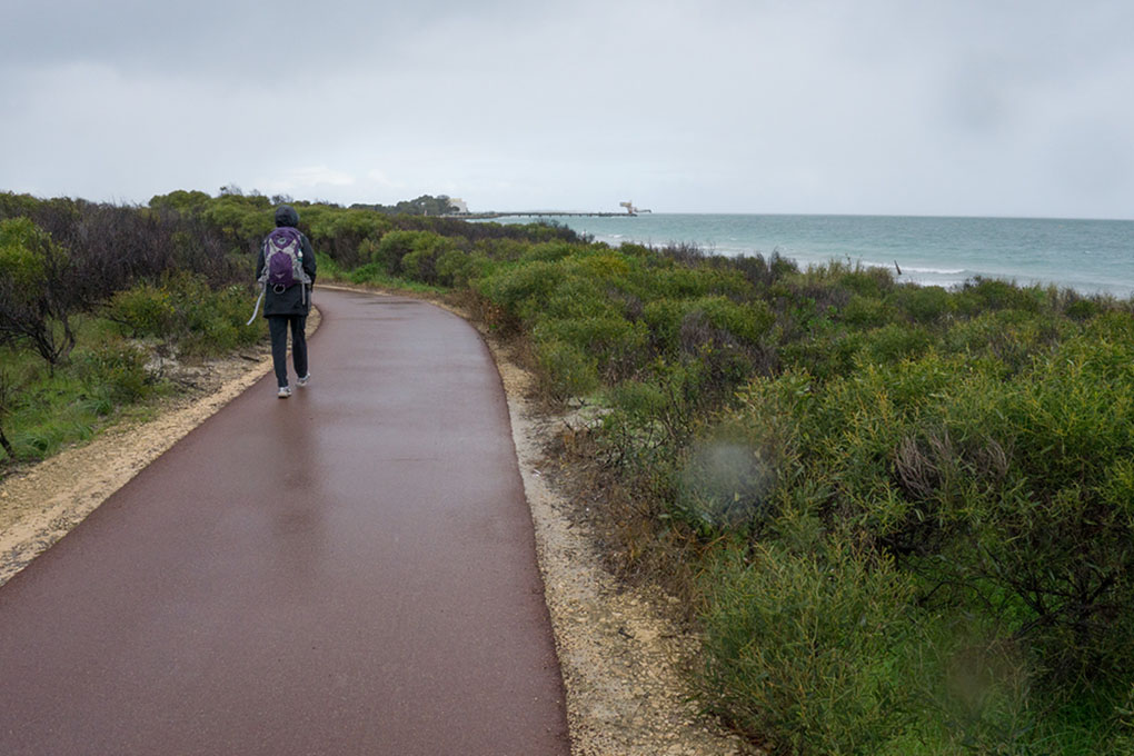 Plate 1: A section of the path south of John Graham Reserve with views of the Cockburn Sound