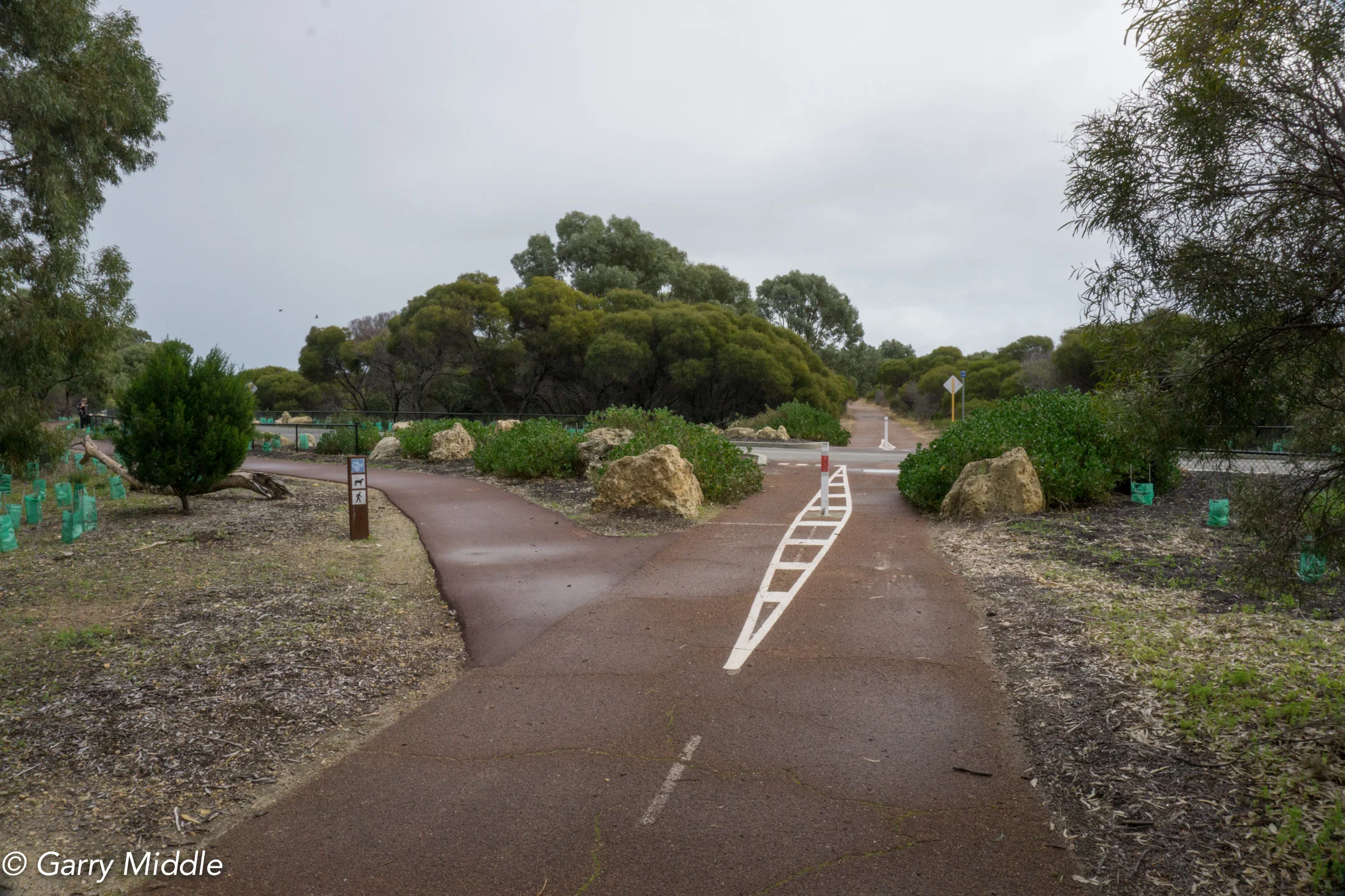 Plate 124: Near the end of the walk at Nyyerbup Circle.