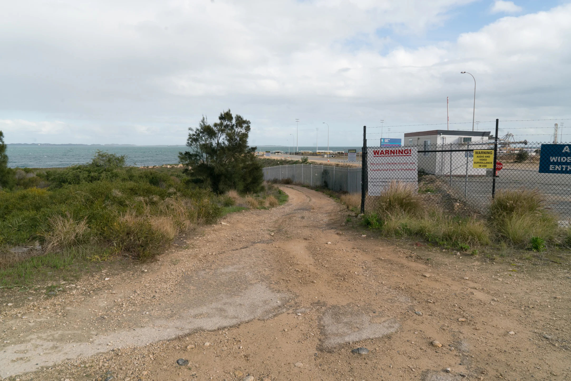 Plate 6: The track next to the boundary fence