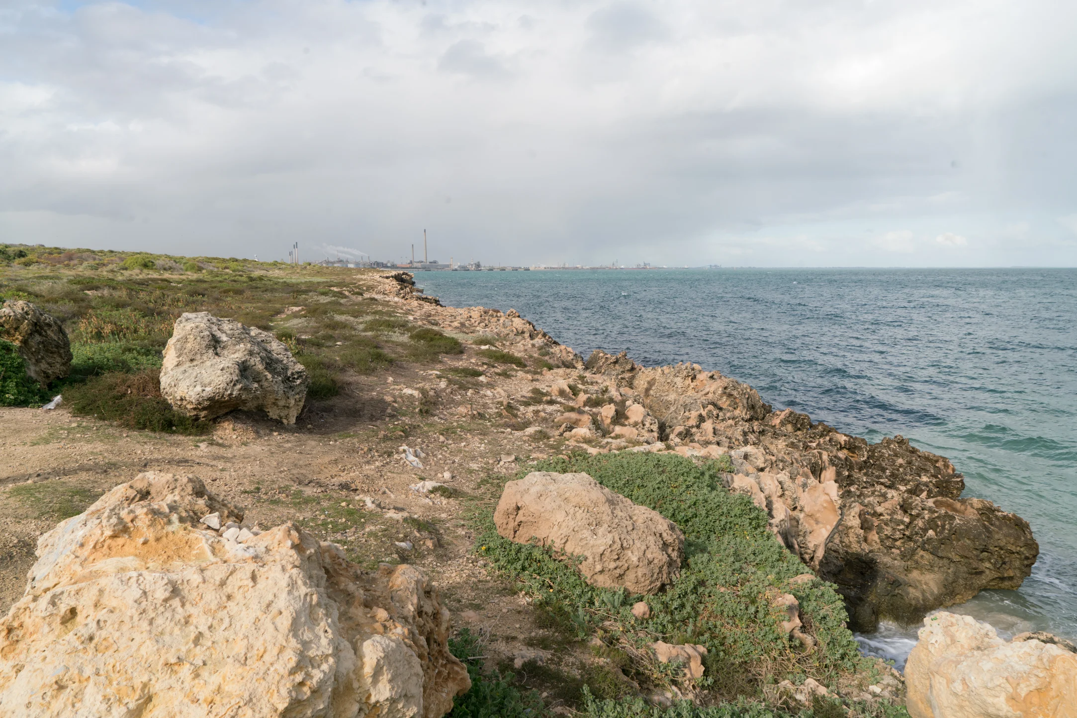 Plate 9: View of the coastal limestone cliff in Beeliar Regional Park from the northern boundary.