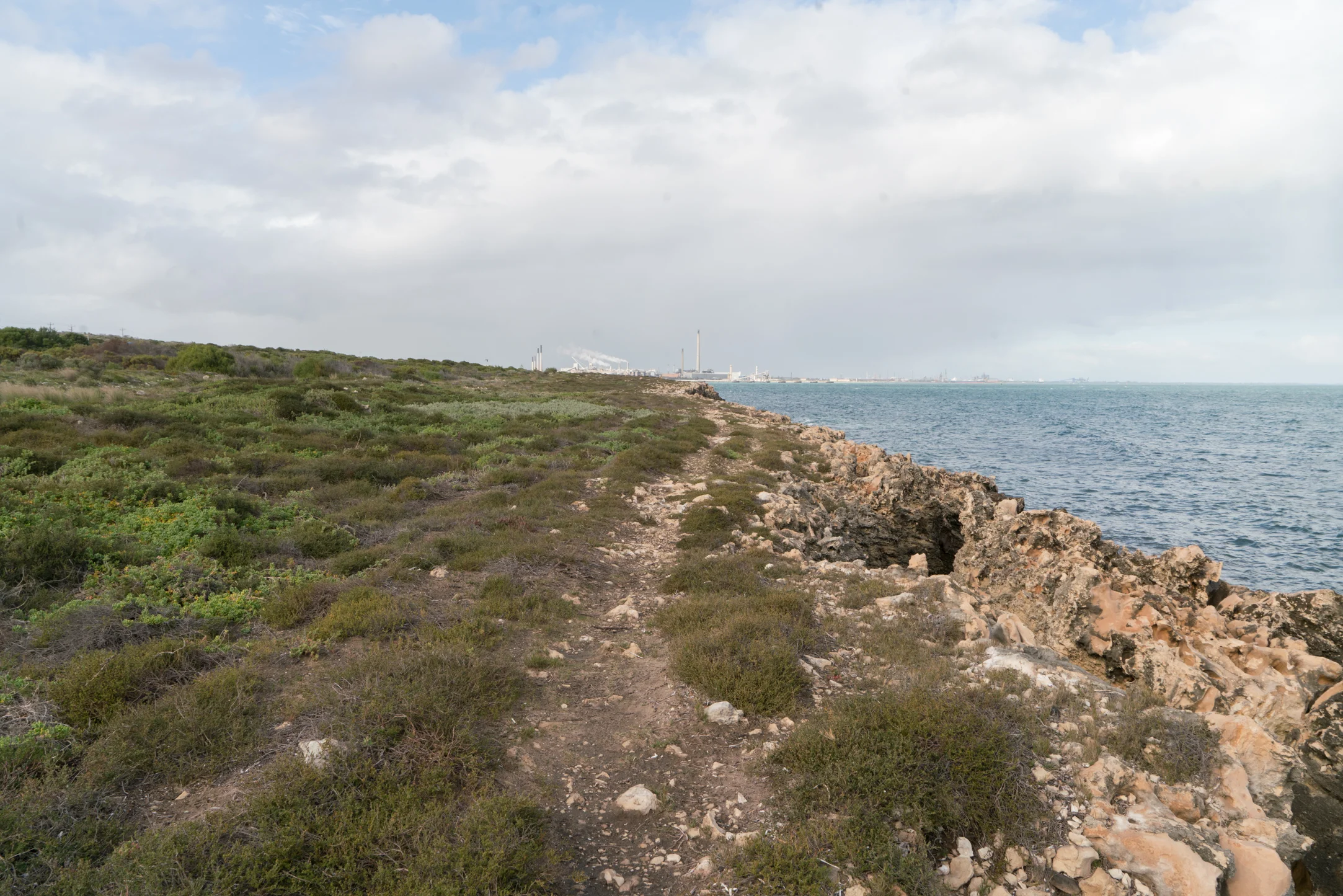 Plate 10: The informal track along the cliff – please do not take
