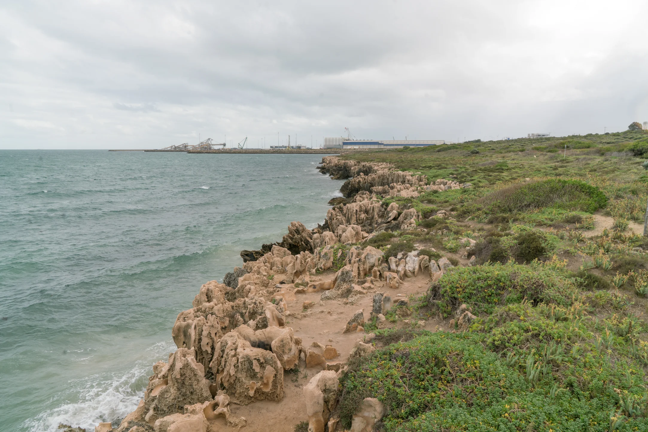 Plates 14: View north