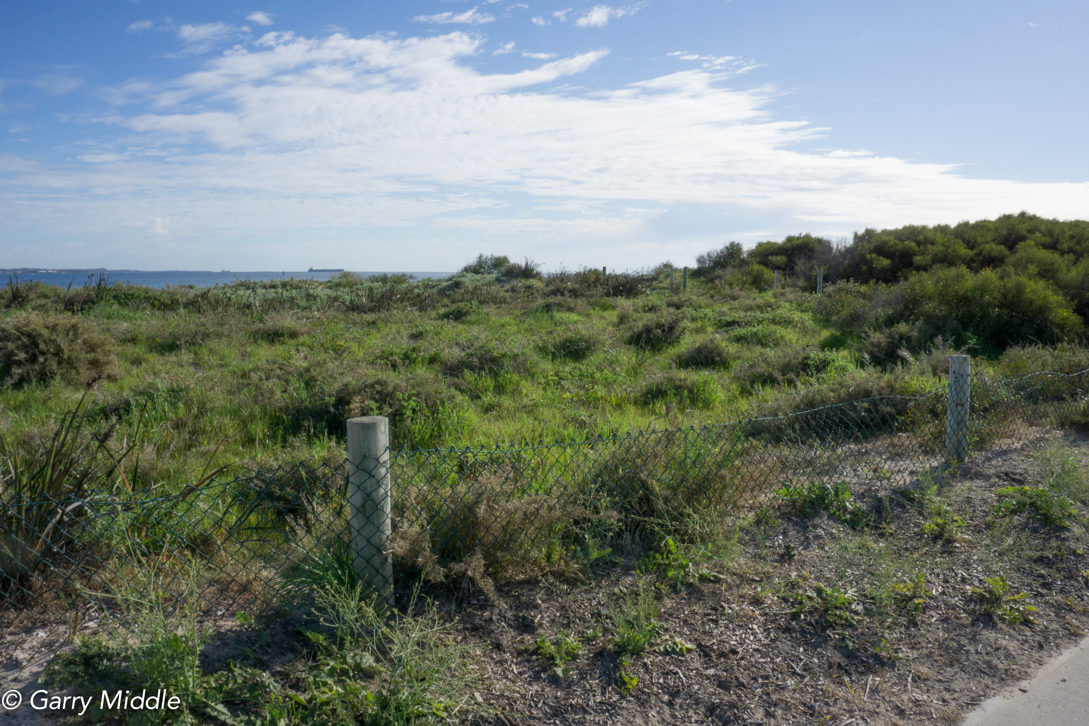 Plate 11: Ocean views from the path where the native vegetation is low enough.