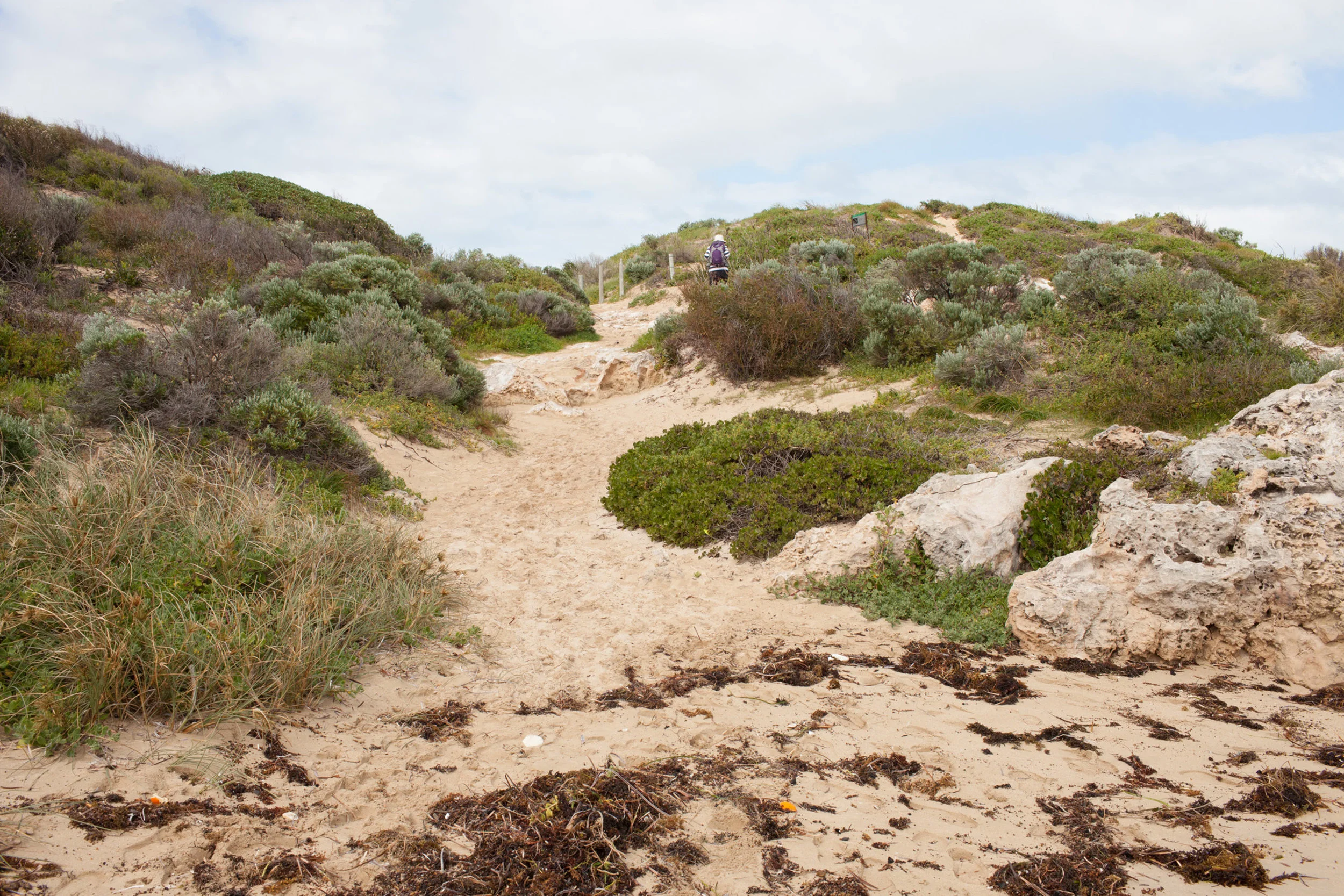 Plate 6: Track leading from the beach to join the circuit track