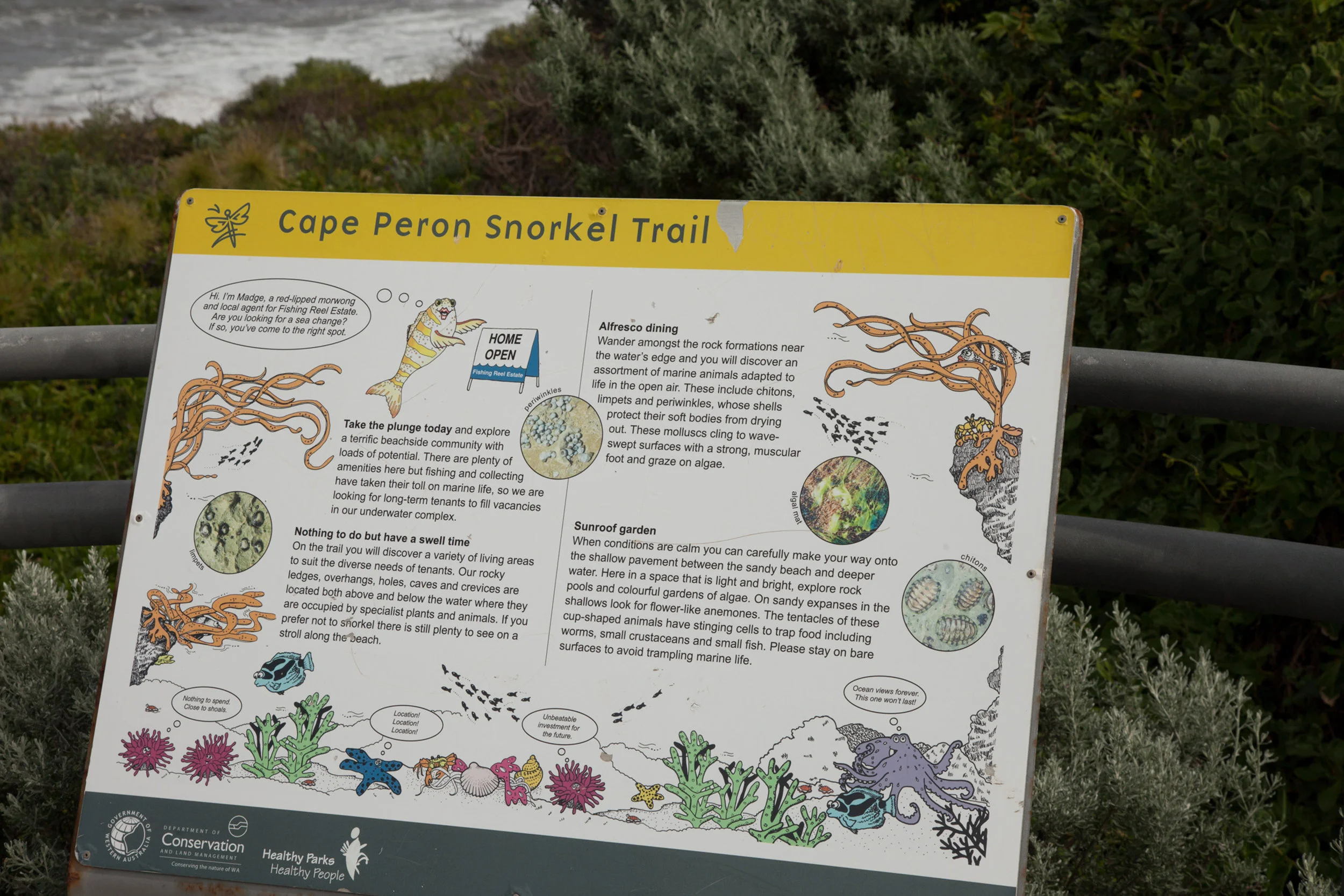 Plate 12: Information sign for Cape Peron Snorkel Trail