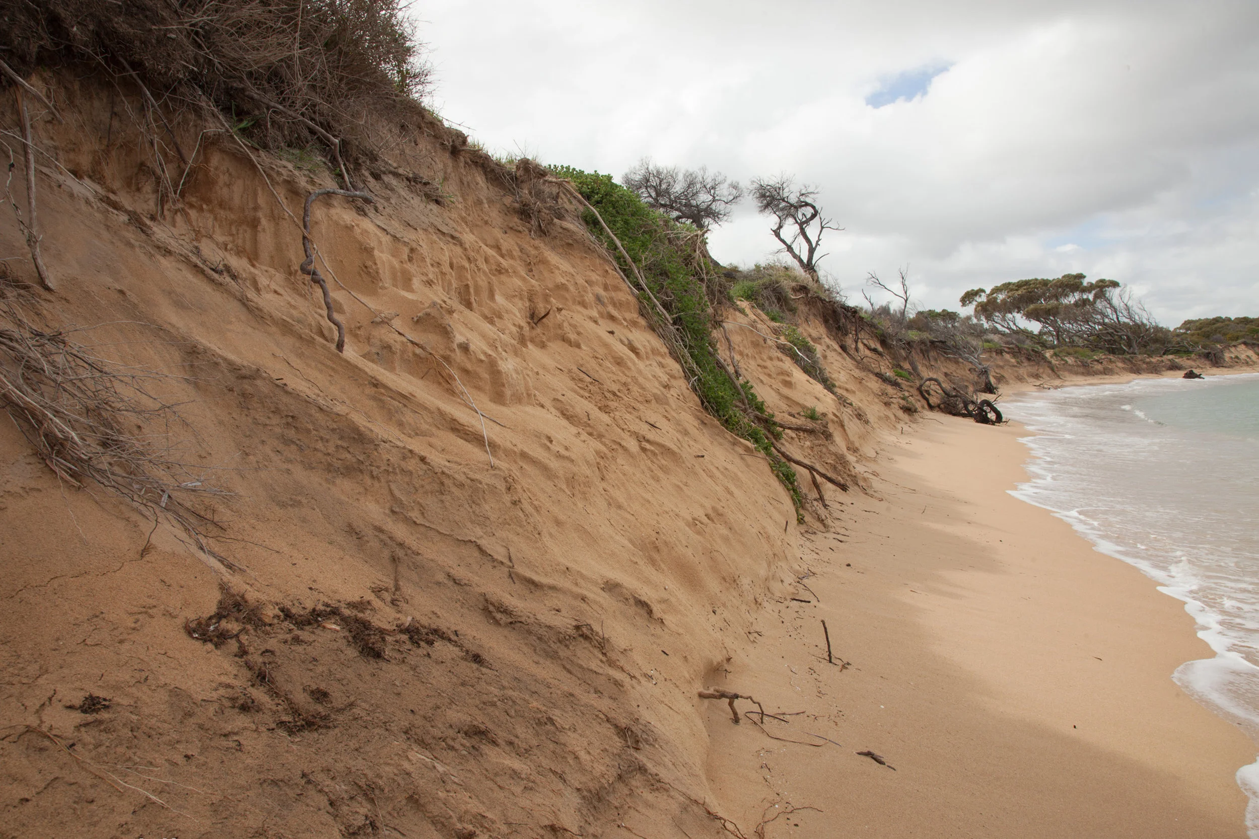 Plate 13: Some of the erosion on the first section of the beach walk from Cape Peron towards Shoalwater