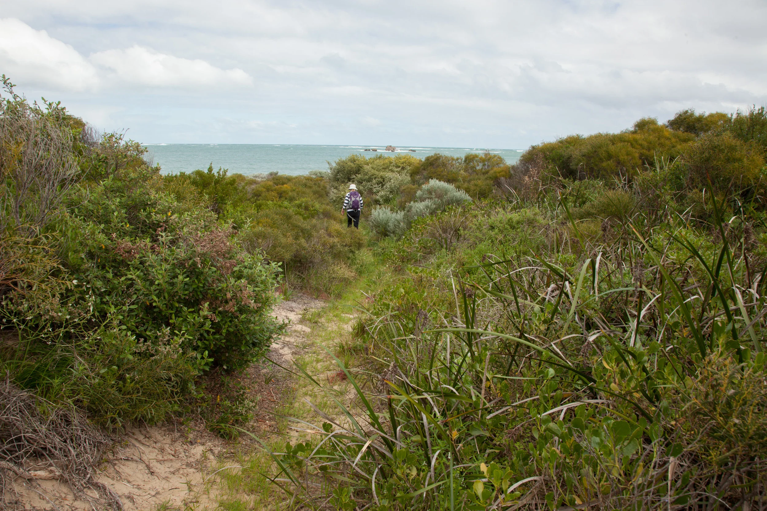 Plate 17: The sand track to the beach through Apex Holiday Centre