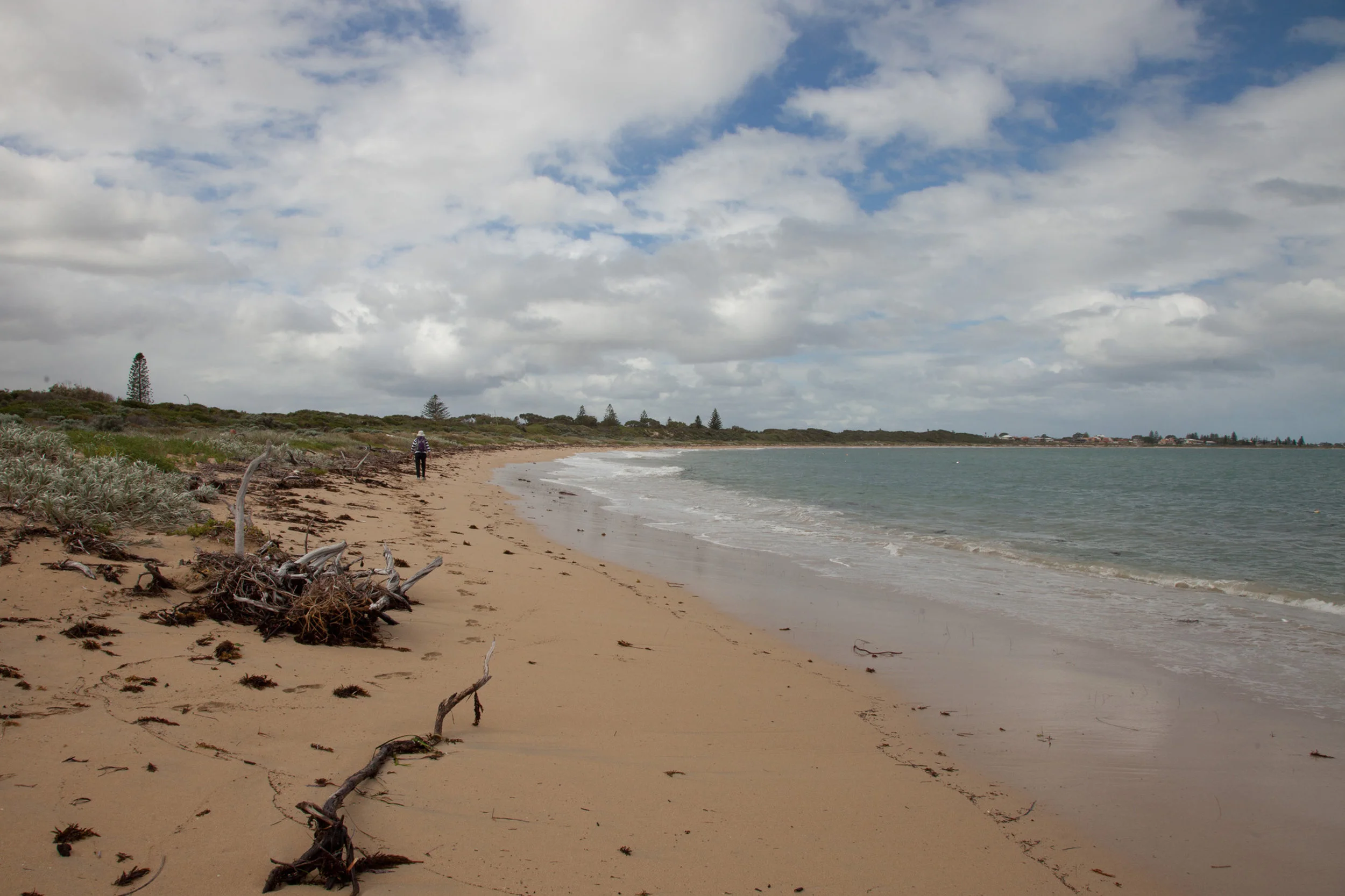 Plate 18: The last section of the beach walk to Shoalwater