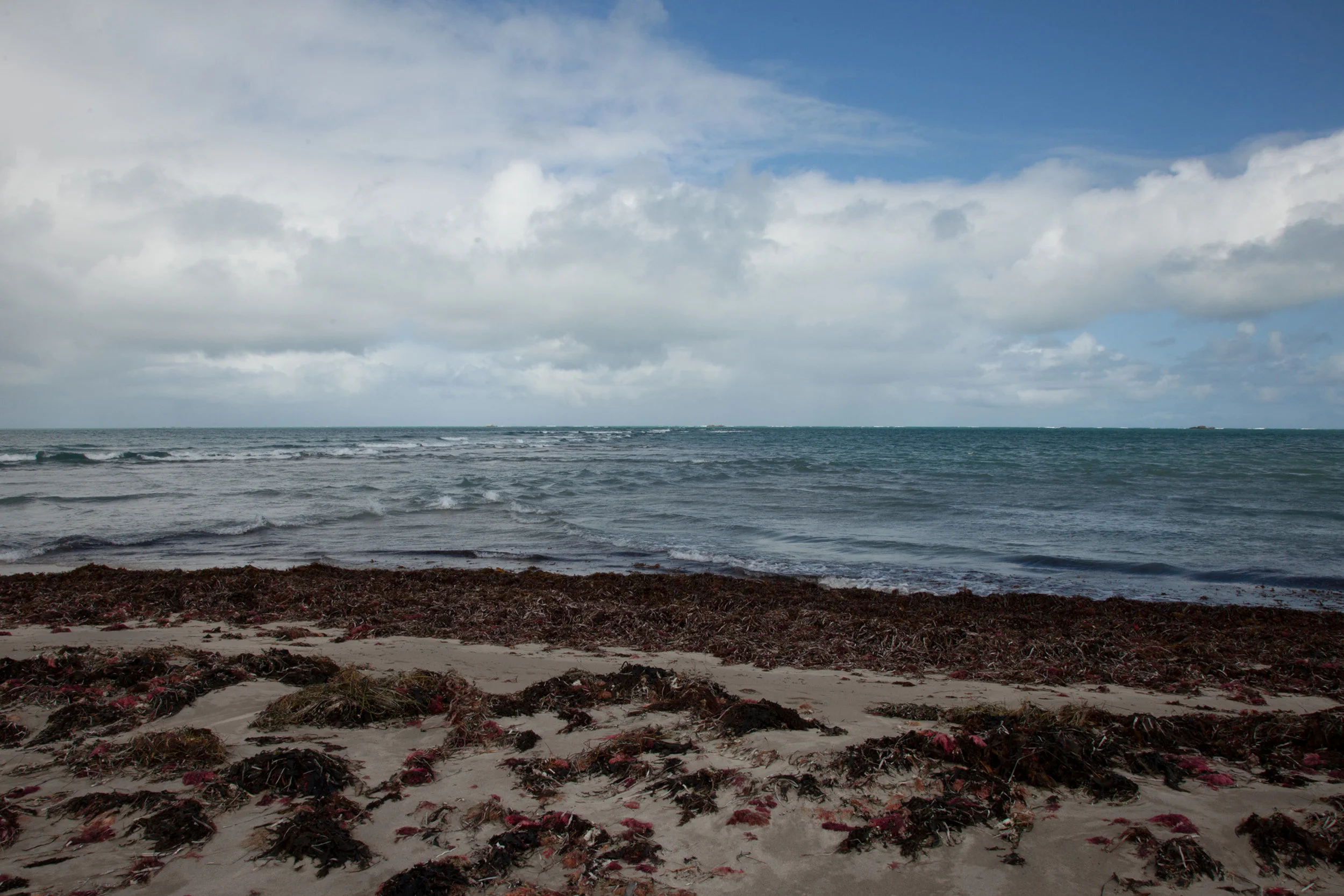 Plate 11: Sandbar extending from the tip of Tern Island.