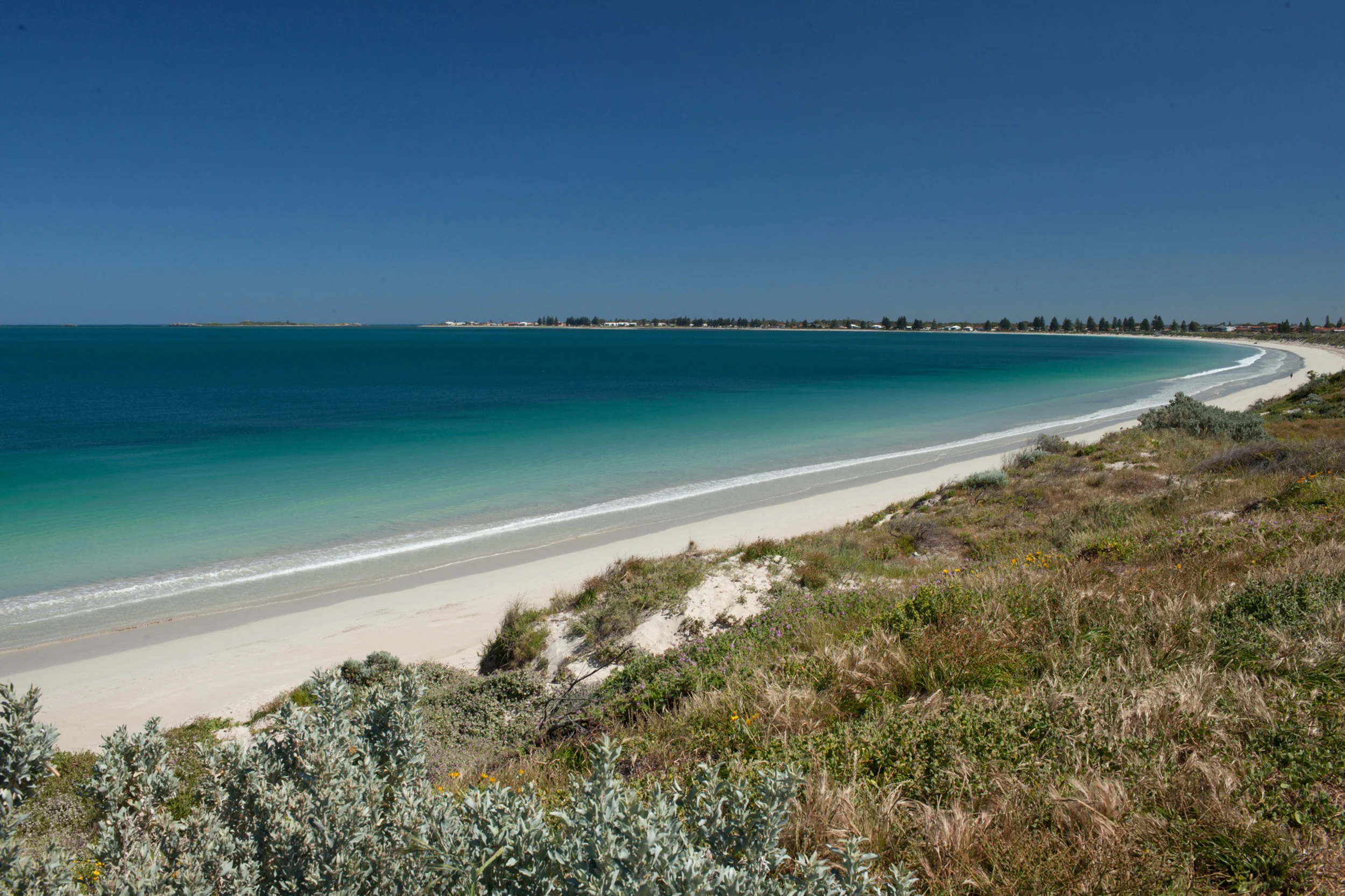 Plate 11: View from the seat at the Warnbro Beach Road back the way we walked.