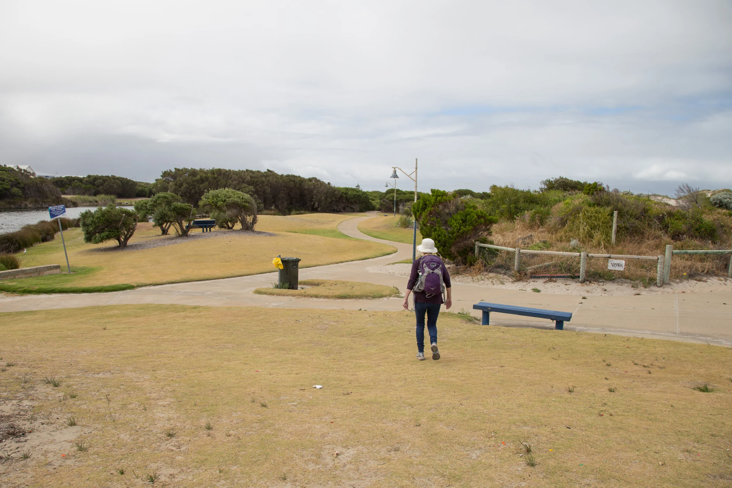 Plate 2: Concrete path passed an artificial wetland and grassed area within the foreshore reserve.