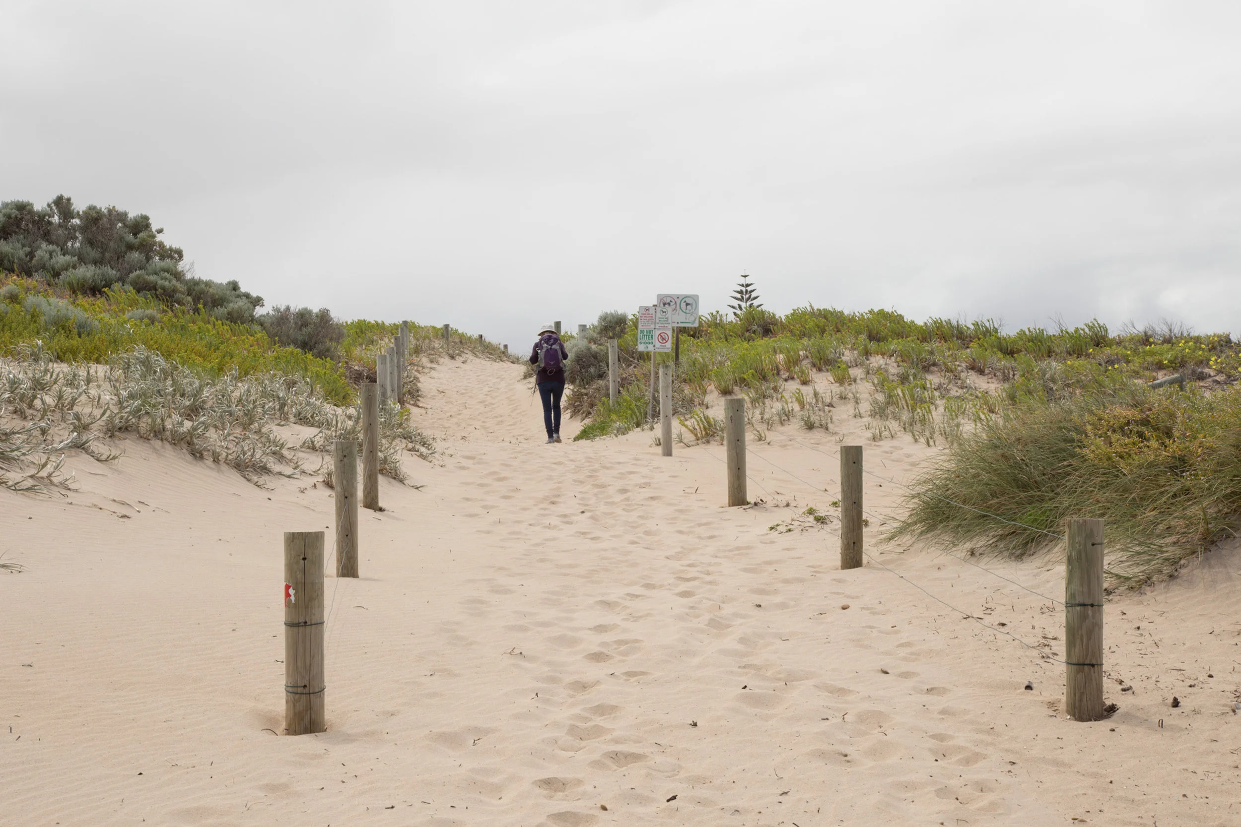 Plate 10: Sand track up to carpark at the end of Crystaluna Drive, and the start of the dog beach (see the sign in the photo)