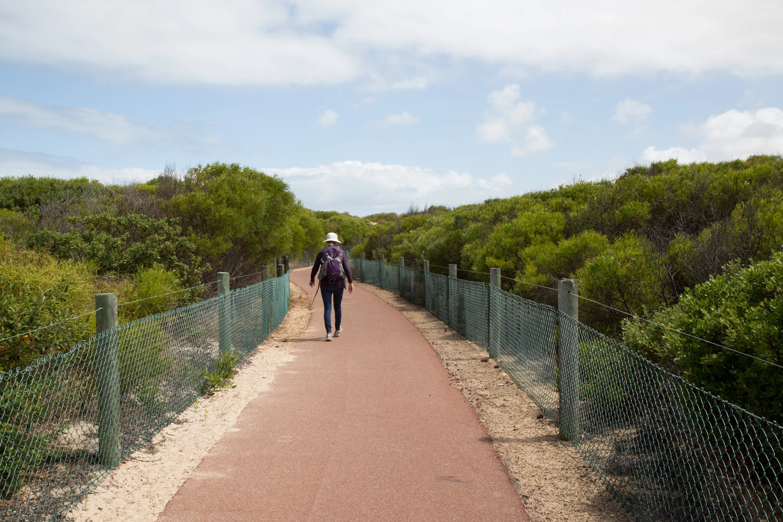 Plate 12: Path through Golden Bay.