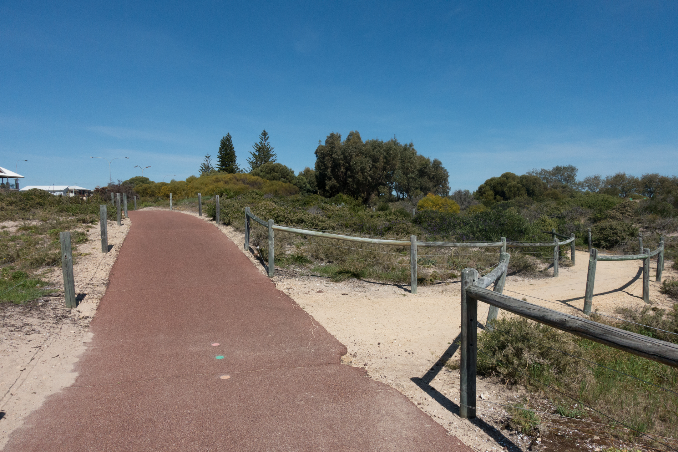 Plate 2: Limestone path to the carpark adjacent to the T junction of Singleton Beach Road and Foreshore Drive