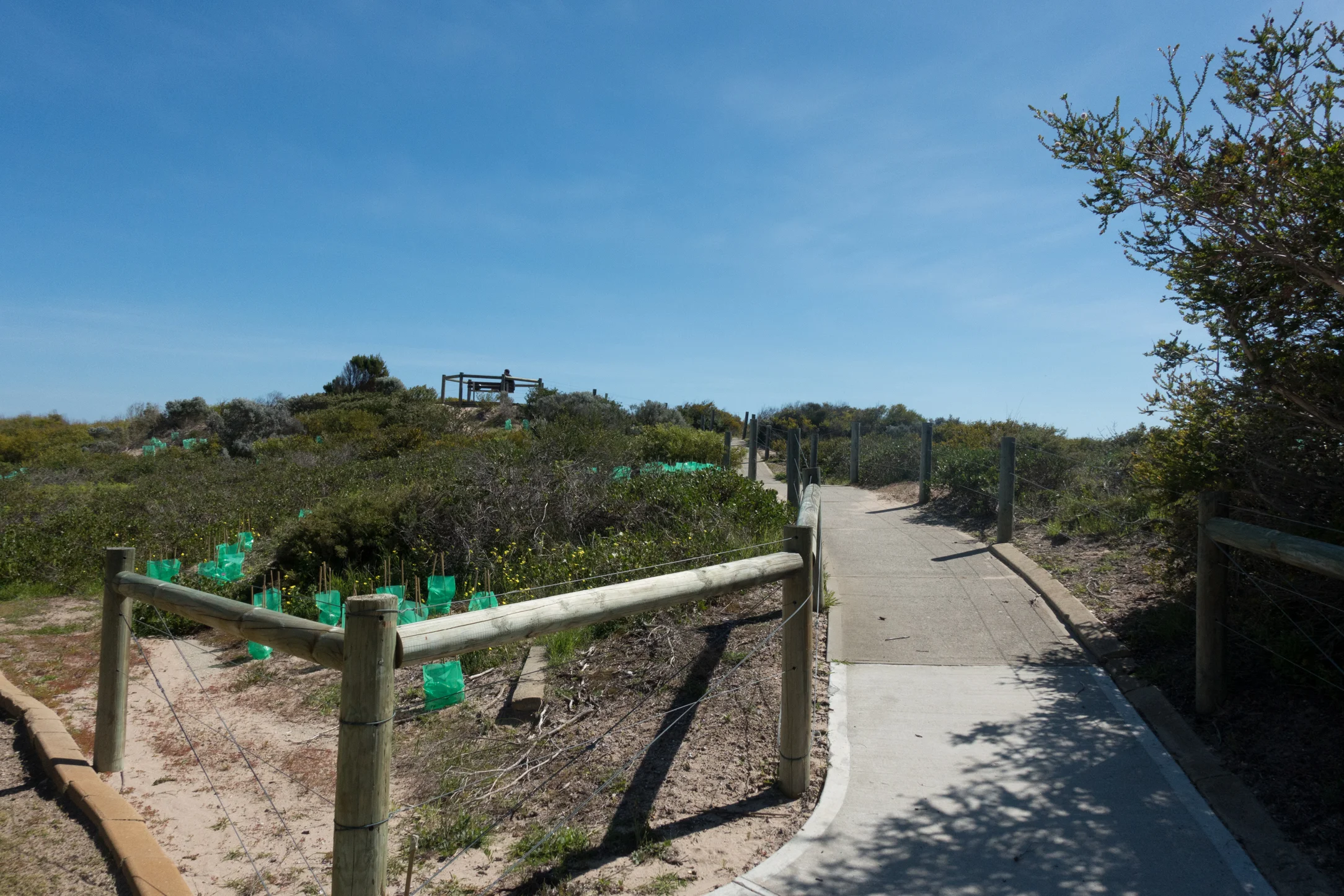 Plate 3: Look out at carpark adjacent to the T junction of Singleton Beach Road and Foreshore Drive