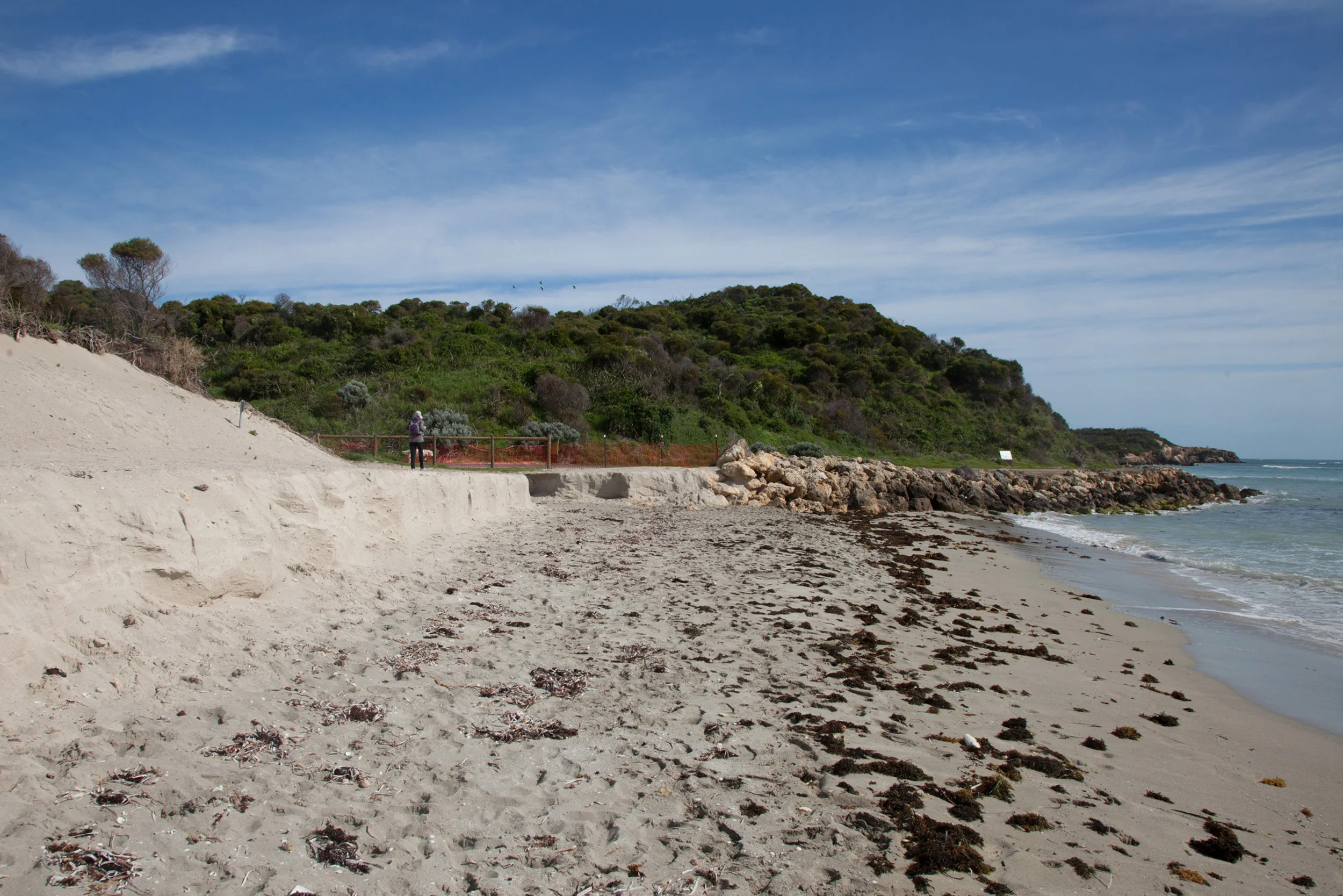 Plate 19: End of beach walk with erosion and sand replenishment obvious.