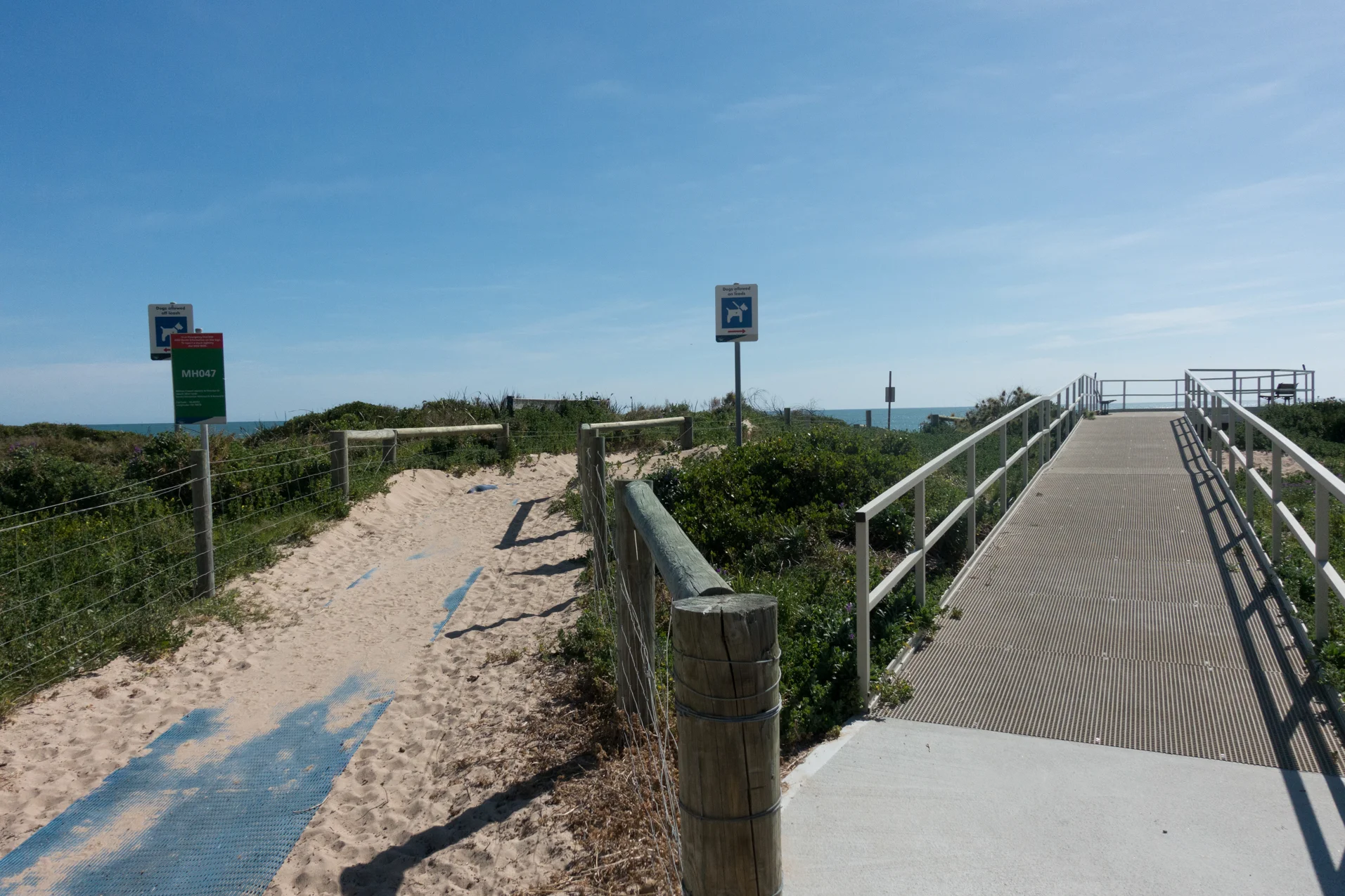 Plate 7: The lookout