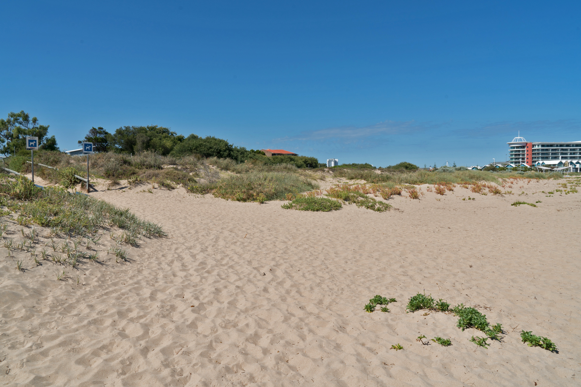 Plate 3: Path from beach to start of coastal path