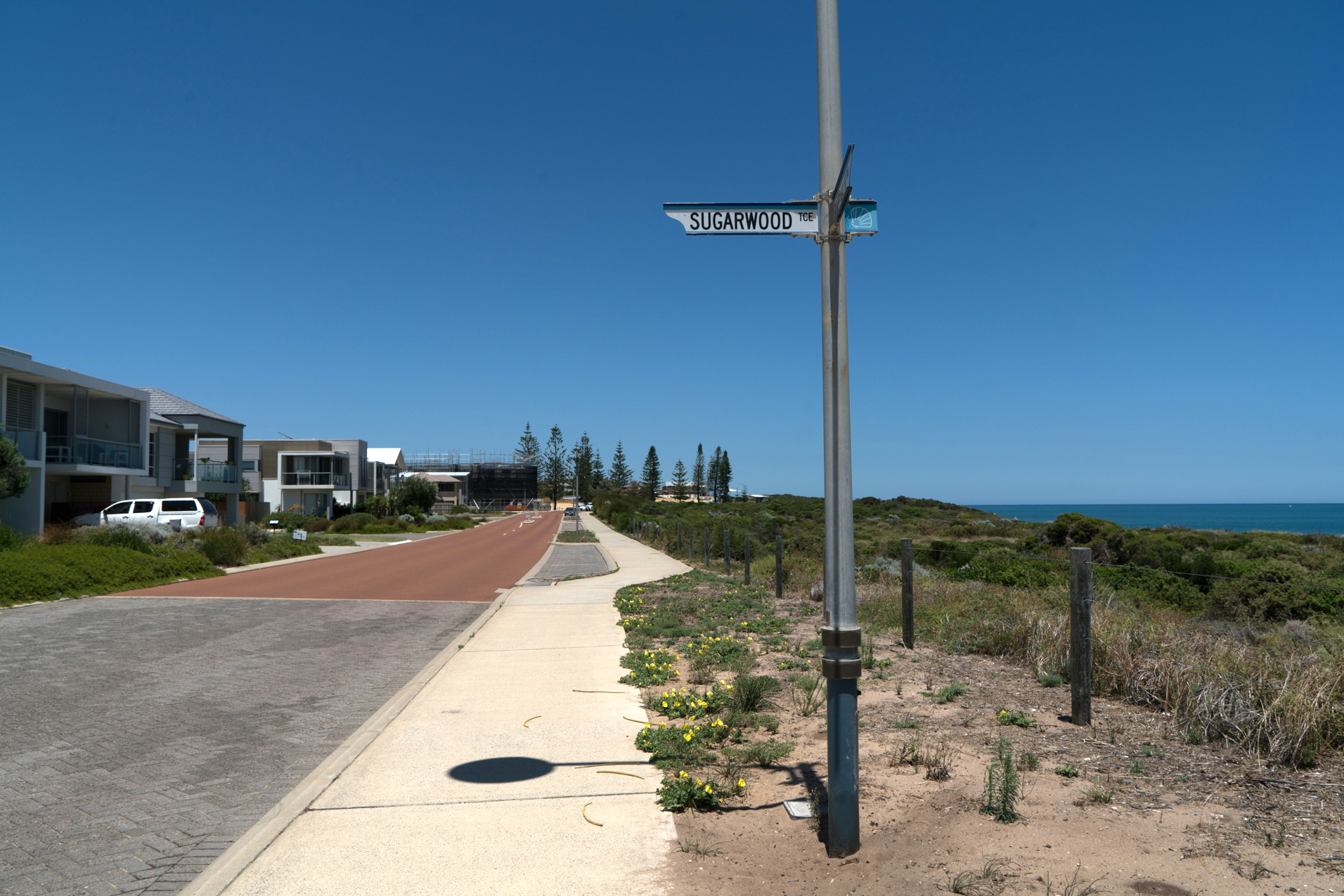 Plate 1: The path down Boardwalk Boulevard