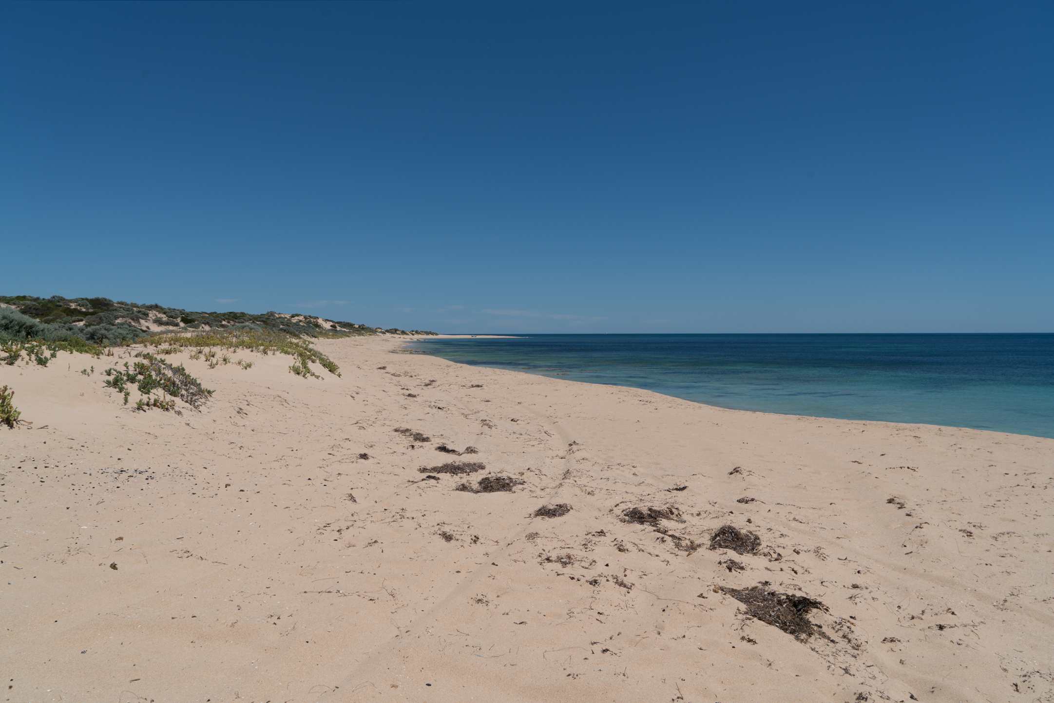 Plate 6: Tims Thicket Beach
